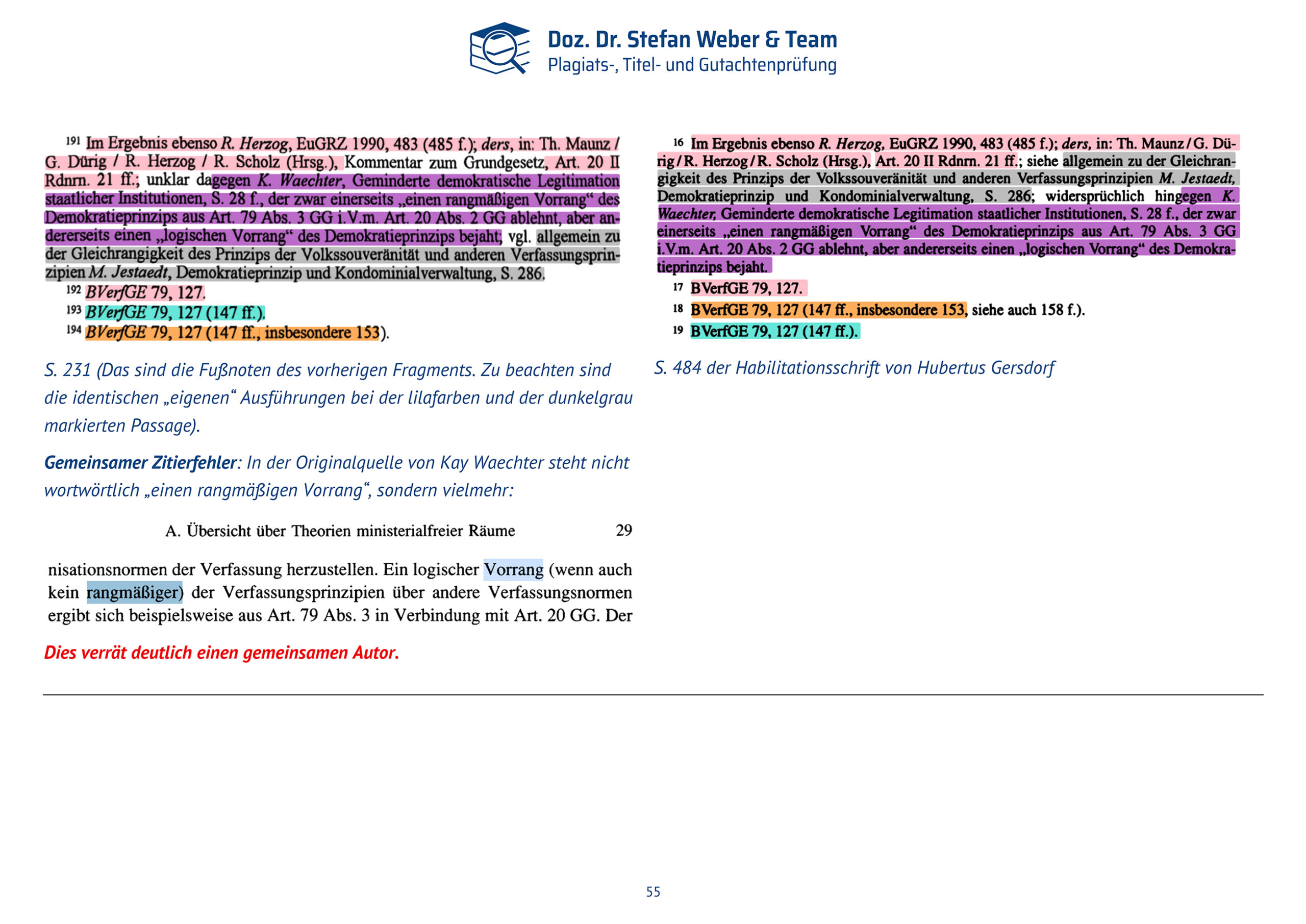 Dokumentation Ghostwriting Plagiate Doktorarbeit Frauke Brosius-Gersdorf Seite 55