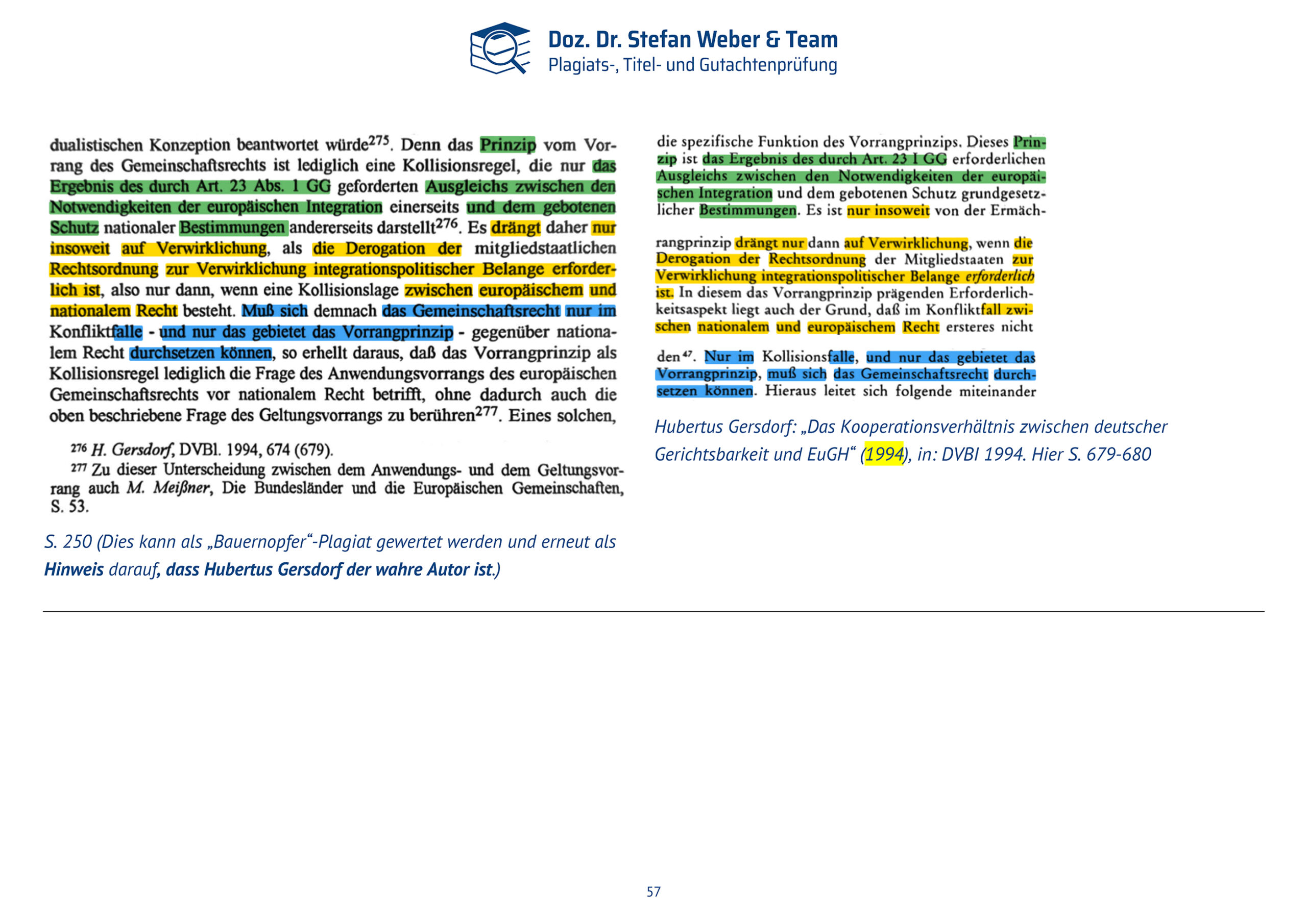 Dokumentation Ghostwriting Plagiate Doktorarbeit Frauke Brosius-Gersdorf Seite 57