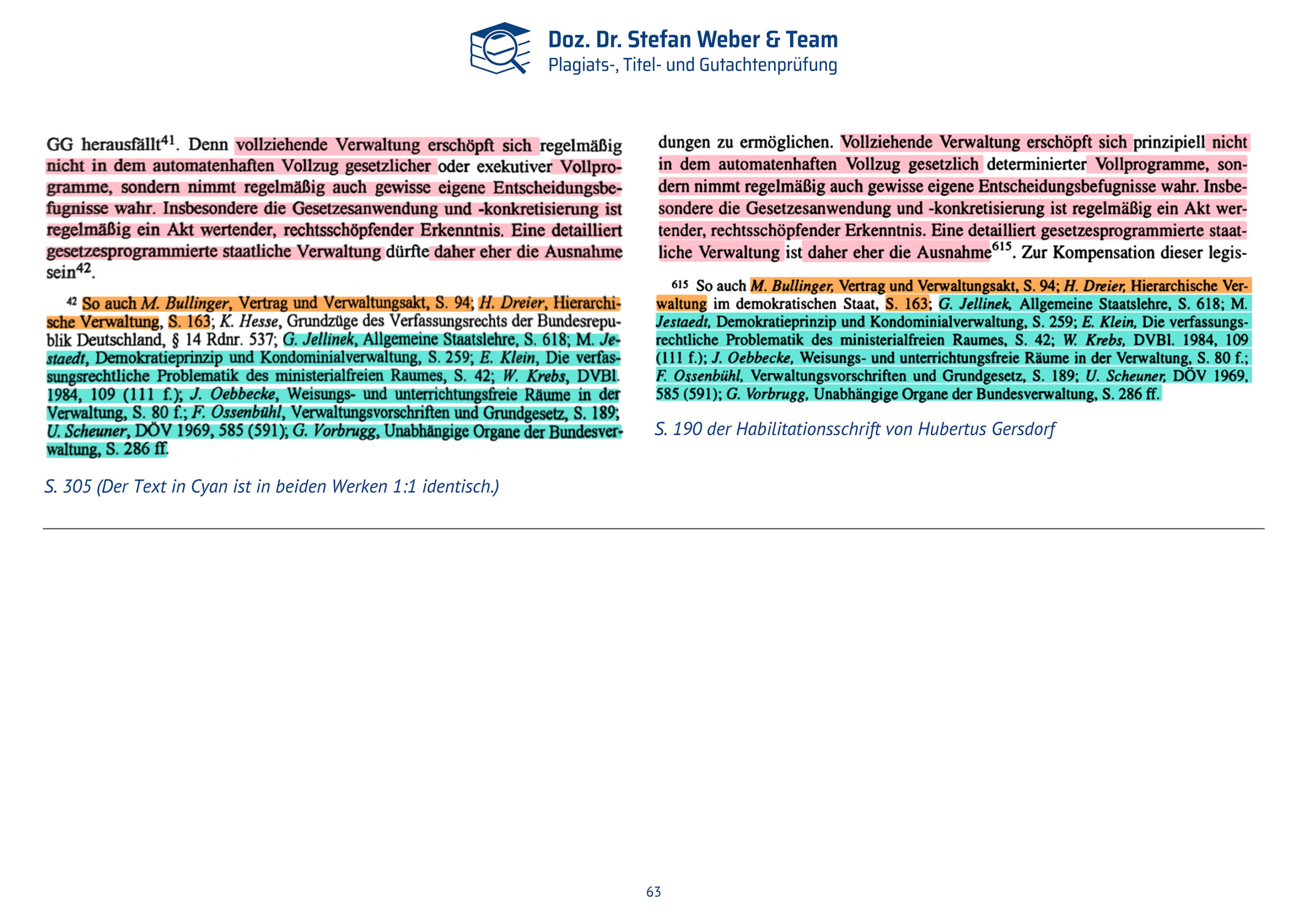 Dokumentation Ghostwriting Plagiate Doktorarbeit Frauke Brosius-Gersdorf Seite 63