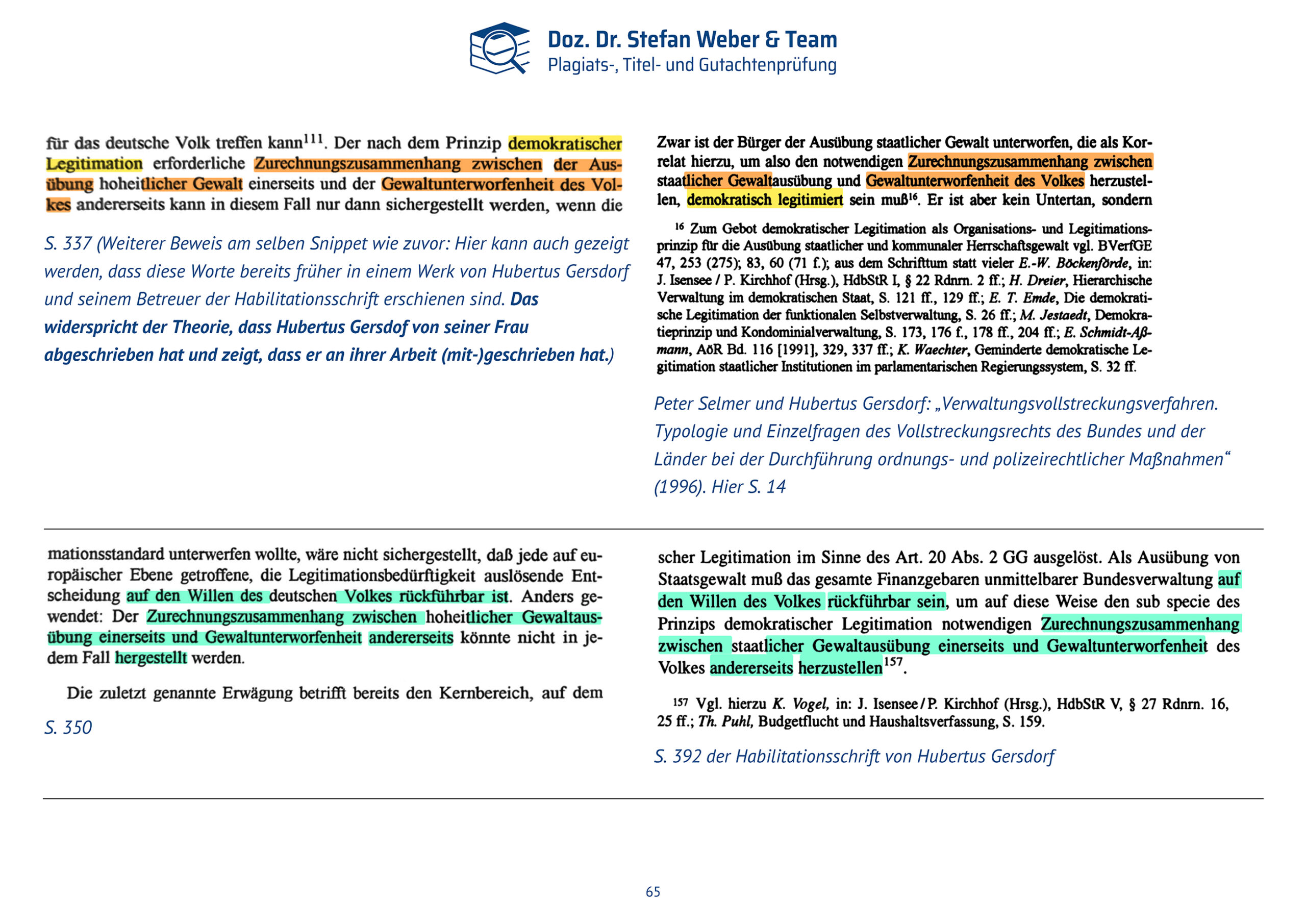 Dokumentation Ghostwriting Plagiate Doktorarbeit Frauke Brosius-Gersdorf Seite 65