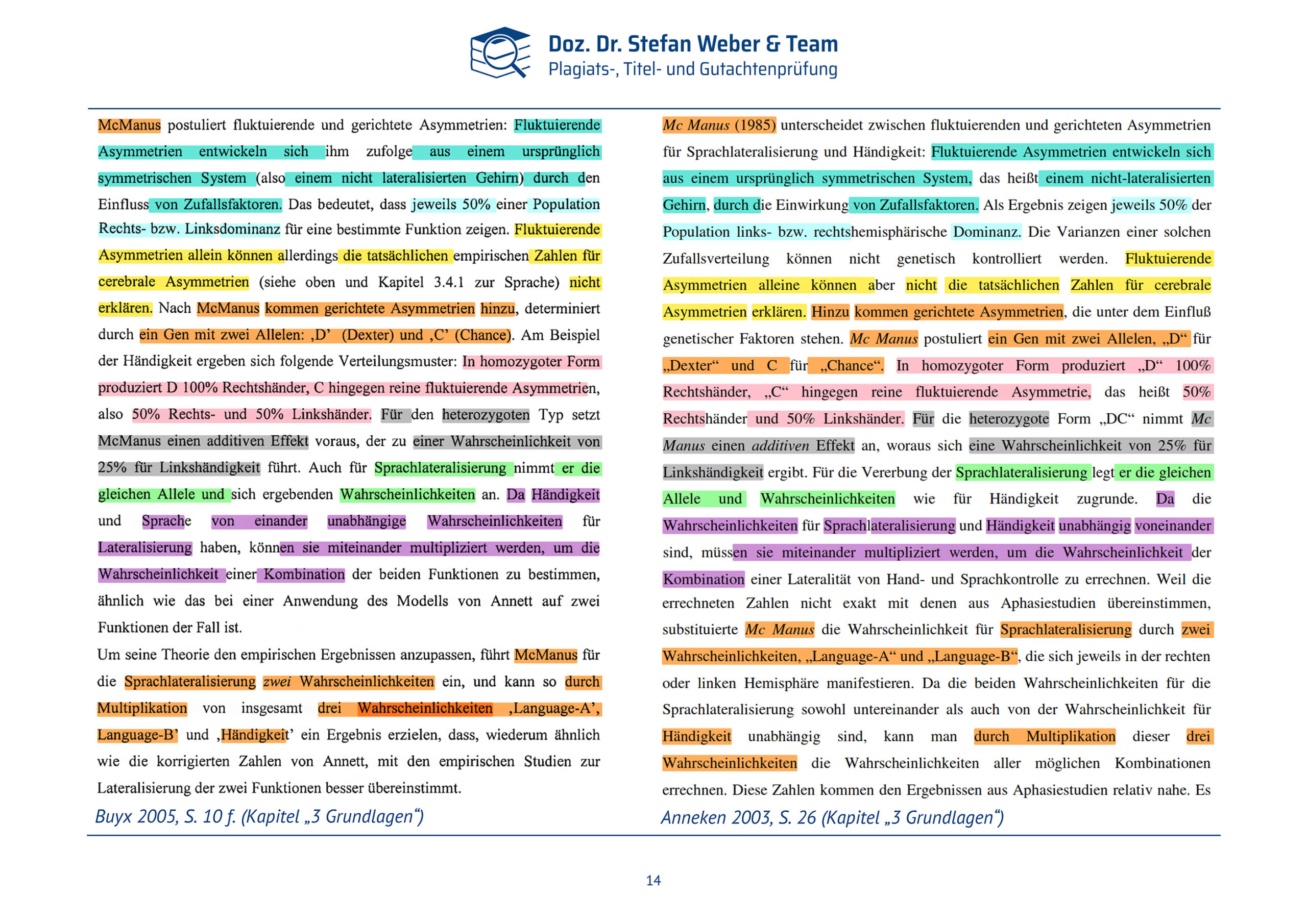 Plagiatsgutachten Doktorarbeit Alena Buyx Seite 14