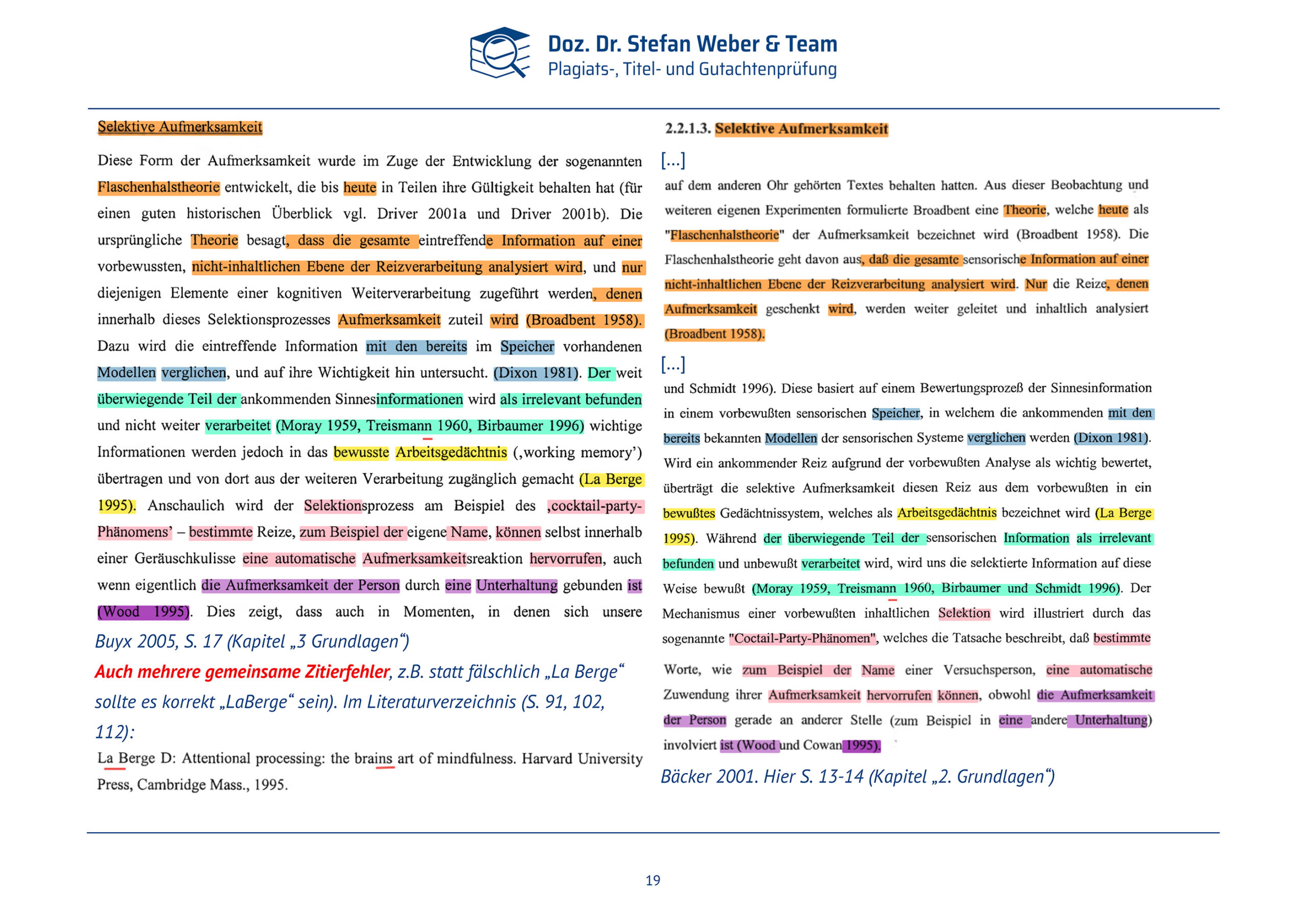 Plagiatsgutachten Doktorarbeit Alena Buyx Seite 19