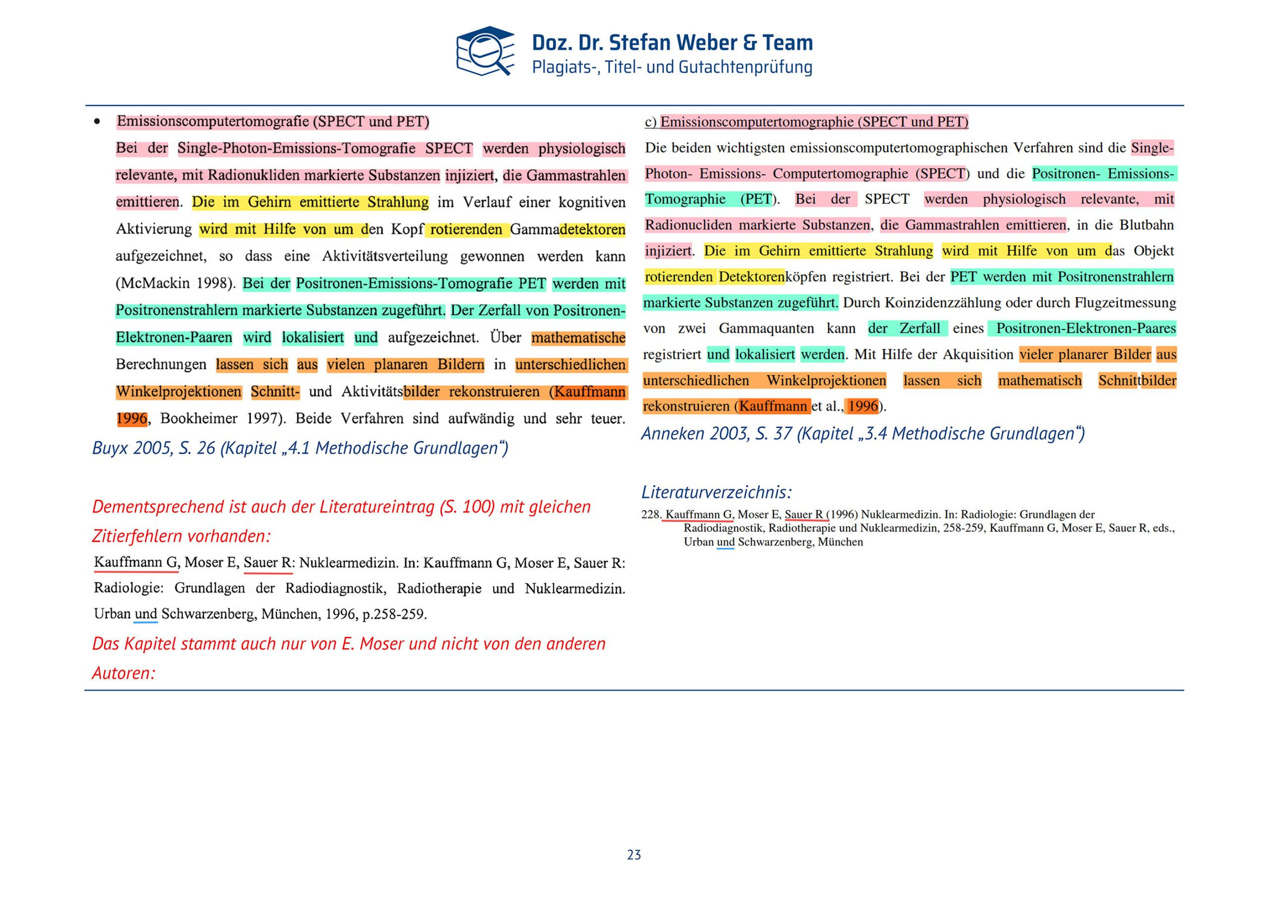 Plagiatsgutachten Doktorarbeit Alena Buyx Seite 23