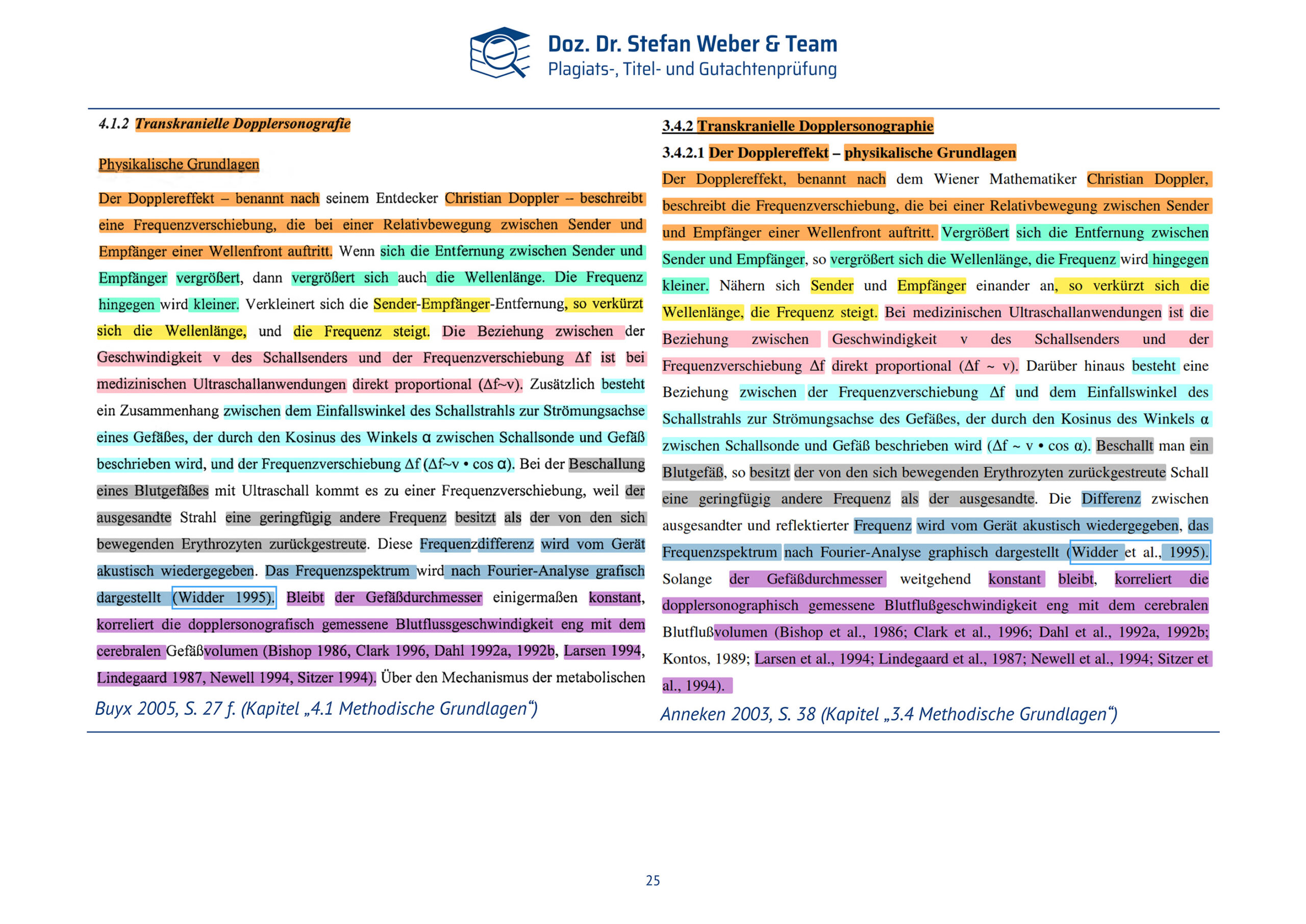 Plagiatsgutachten Doktorarbeit Alena Buyx Seite 25