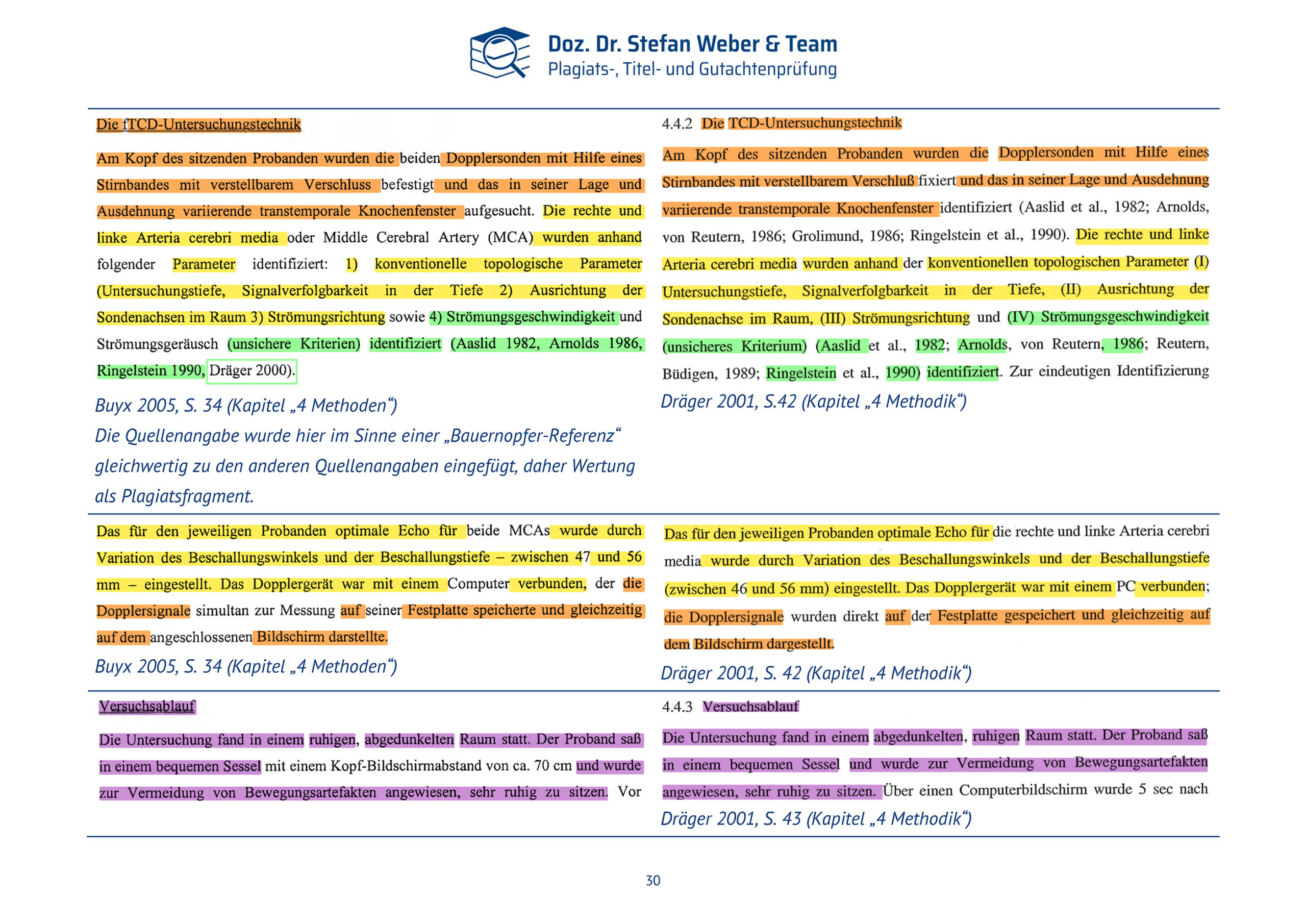 Plagiatsgutachten Doktorarbeit Alena Buyx Seite 30