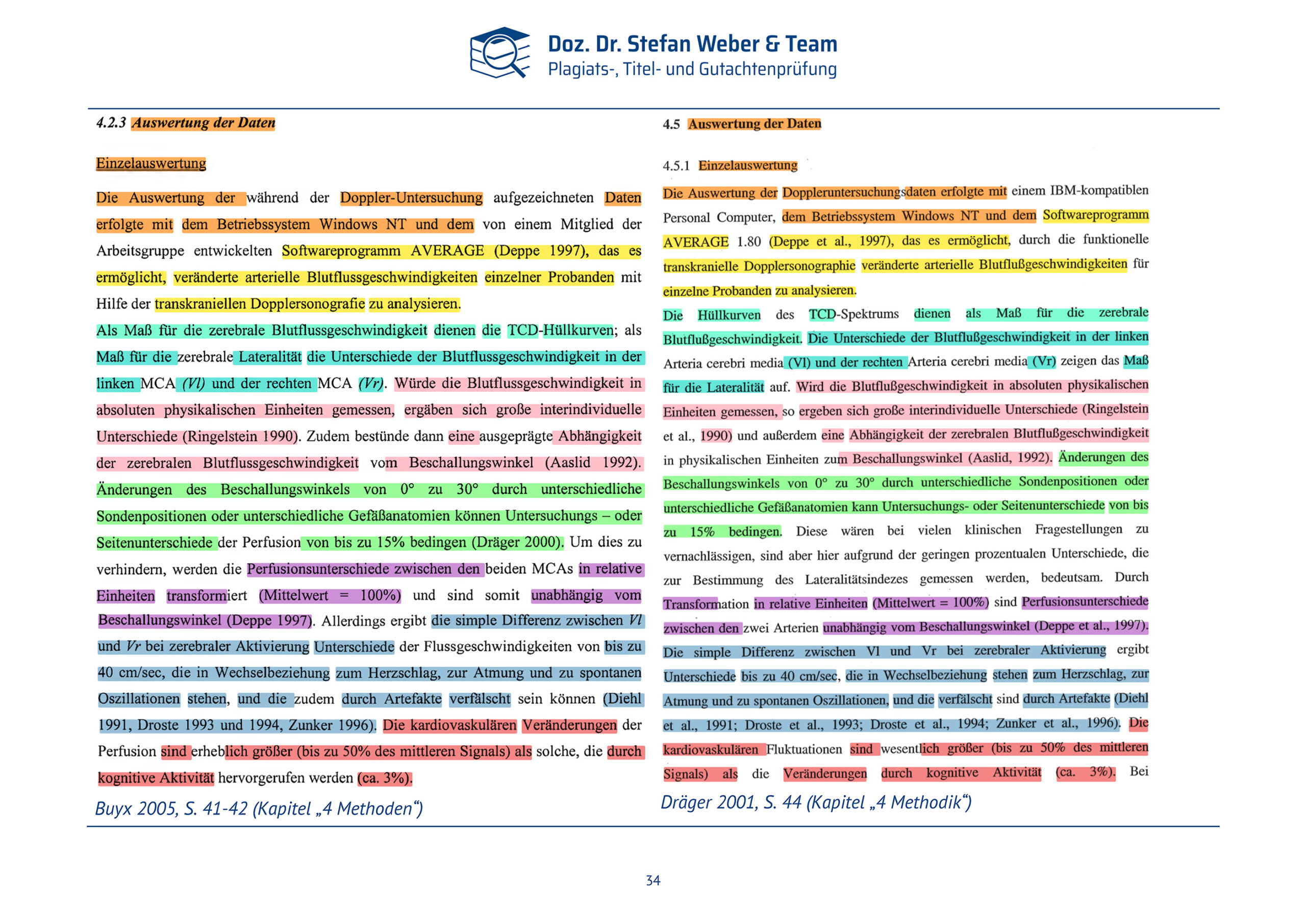 Plagiatsgutachten Doktorarbeit Alena Buyx Seite 34