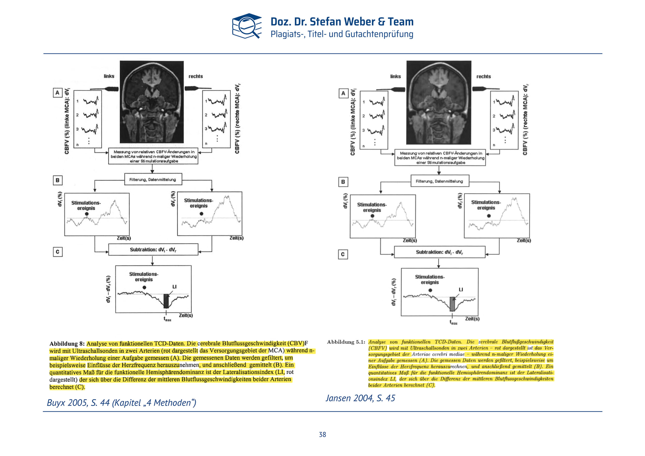 Plagiatsgutachten Doktorarbeit Alena Buyx Seite 38