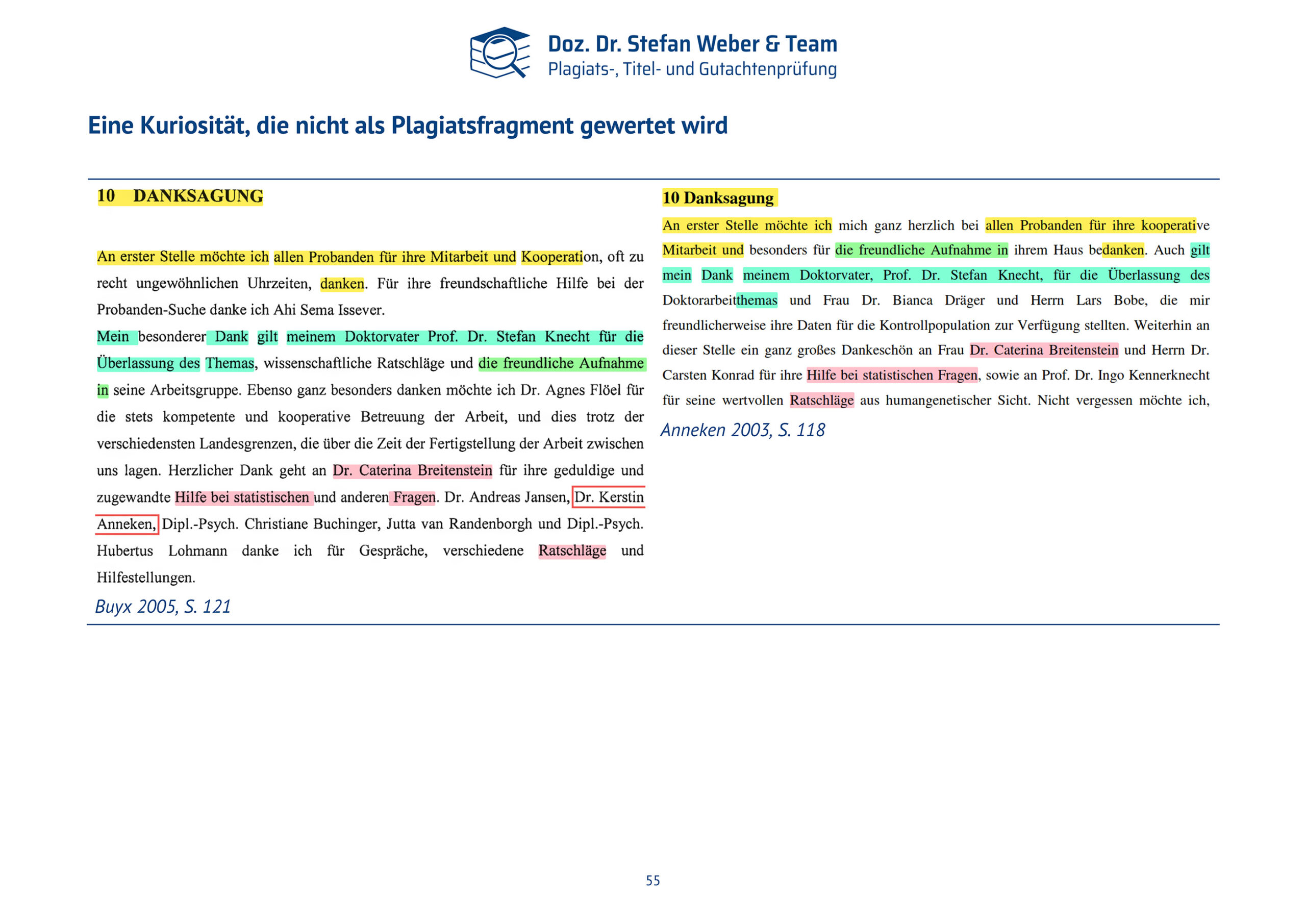 Plagiatsgutachten Doktorarbeit Alena Buyx Seite 55