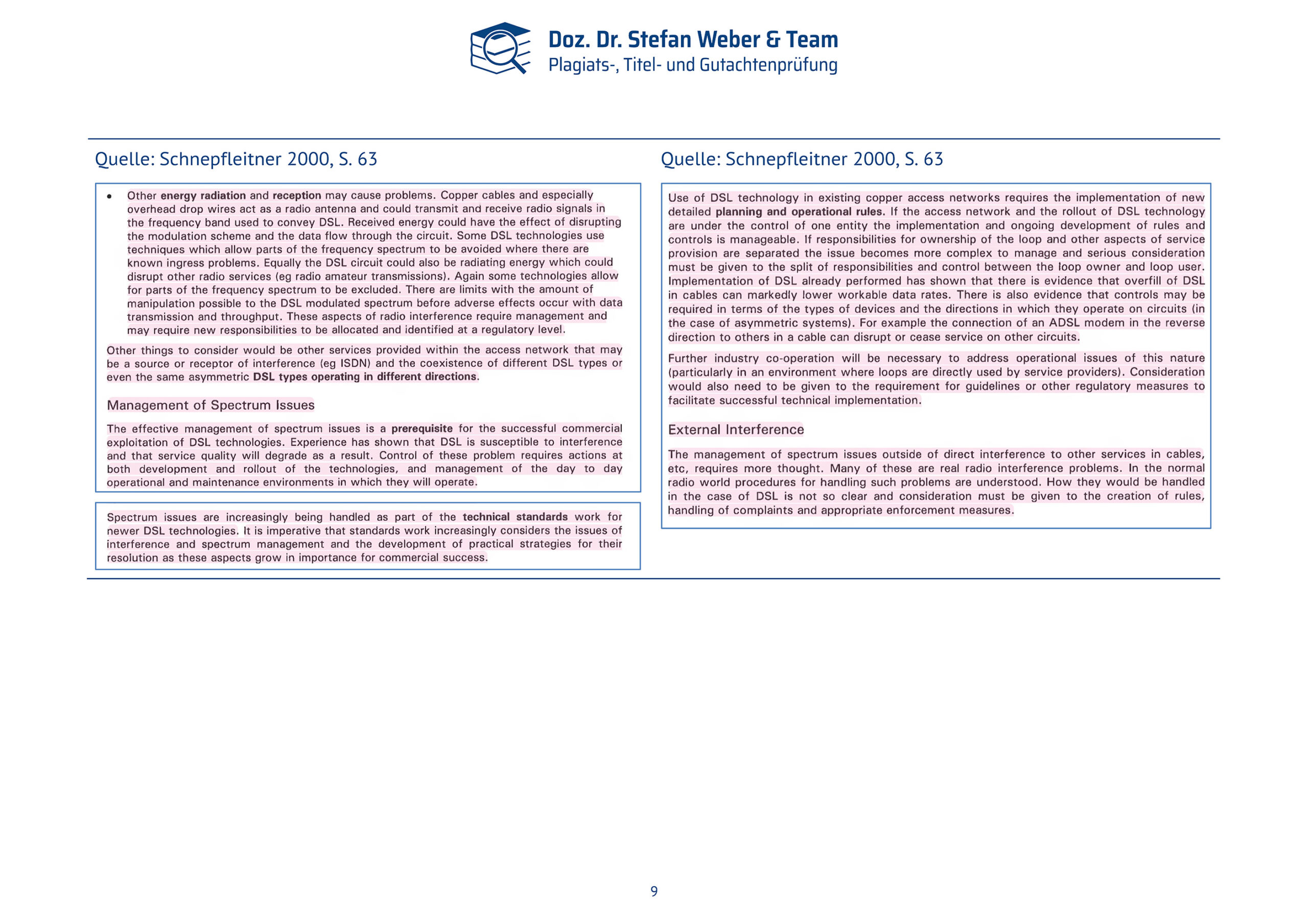 Plagiatsgutachten Schnepfleitner Seite 09
