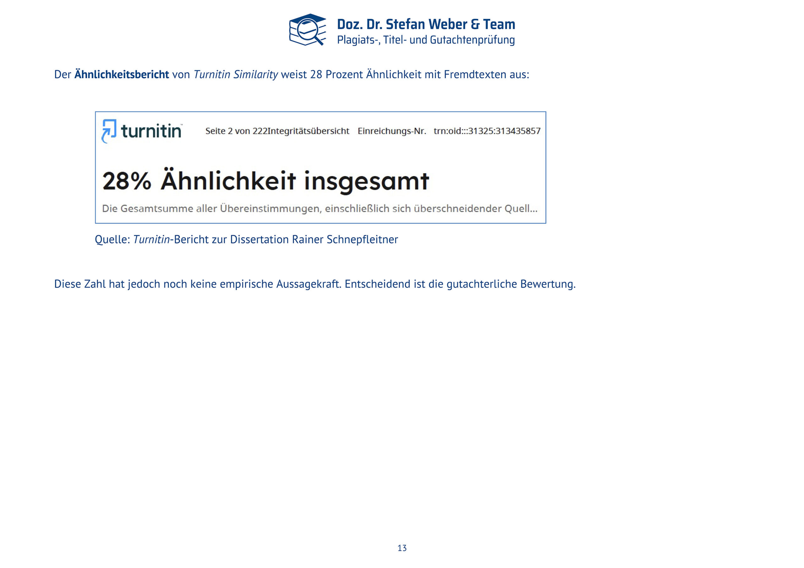 Plagiatsgutachten Schnepfleitner Seite 13