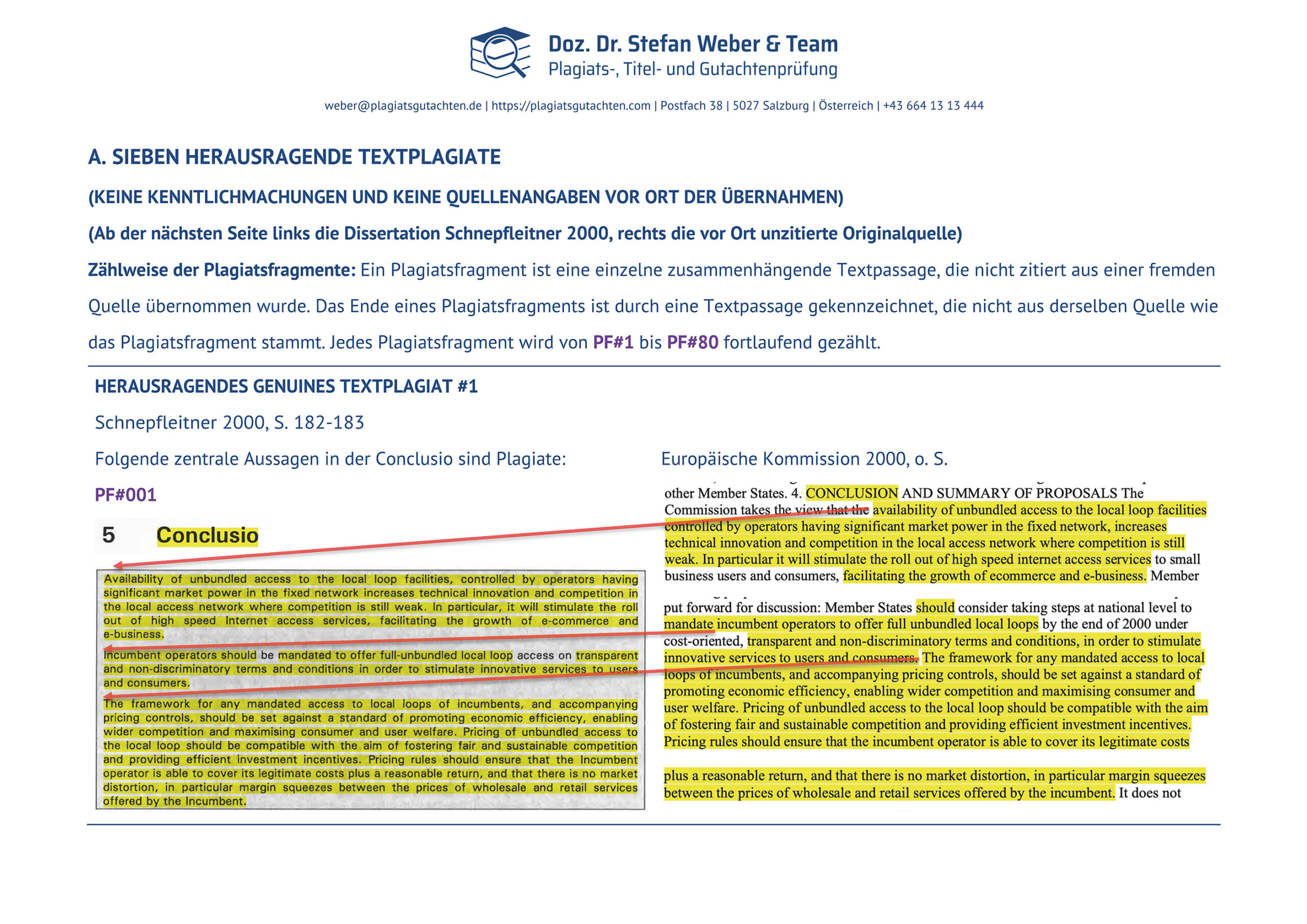 Plagiatsgutachten Schnepfleitner Seite 14
