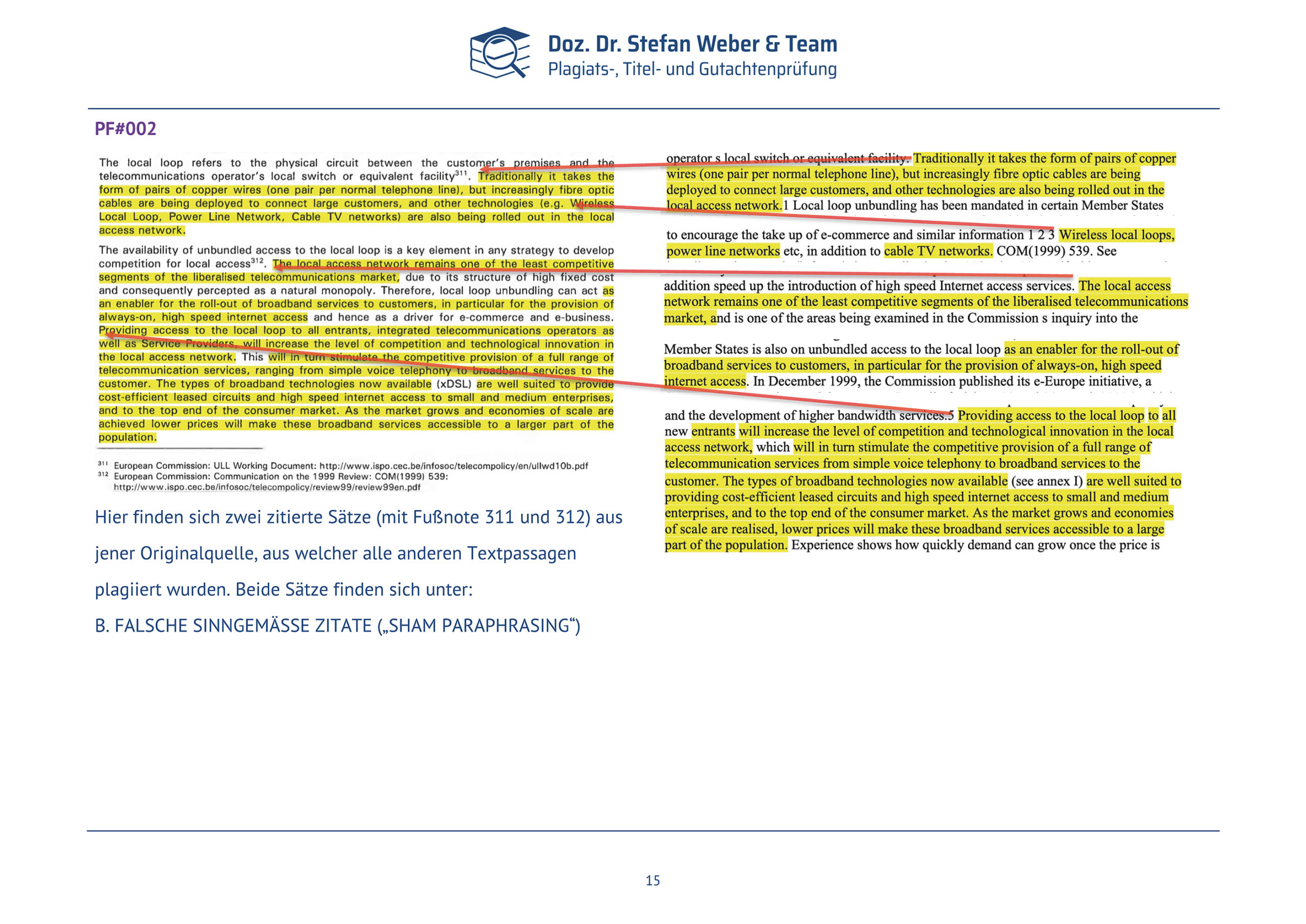 Plagiatsgutachten Schnepfleitner Seite 15