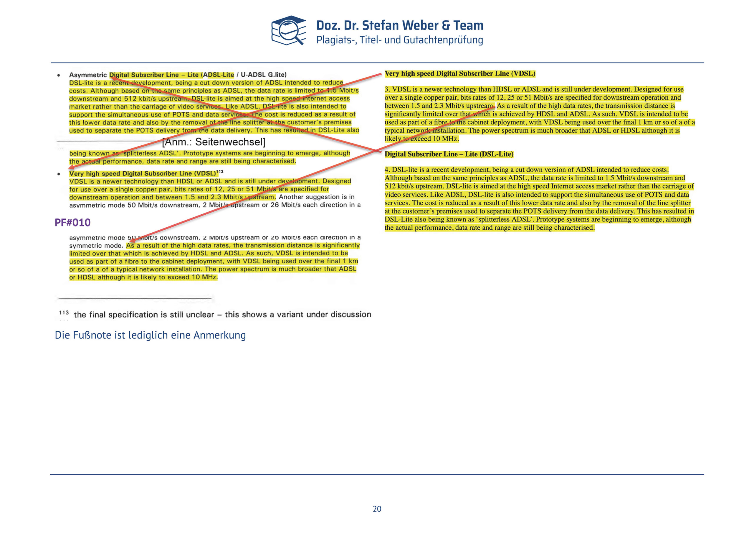 Plagiatsgutachten Schnepfleitner Seite 20