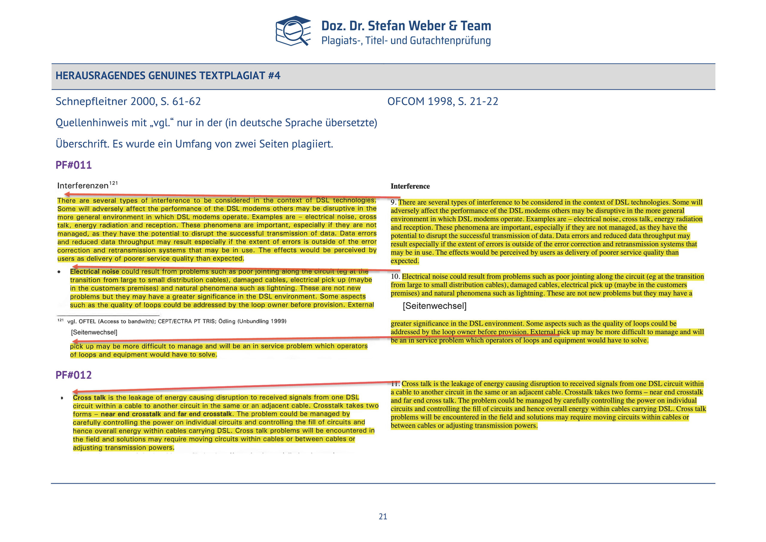Plagiatsgutachten Schnepfleitner Seite 21