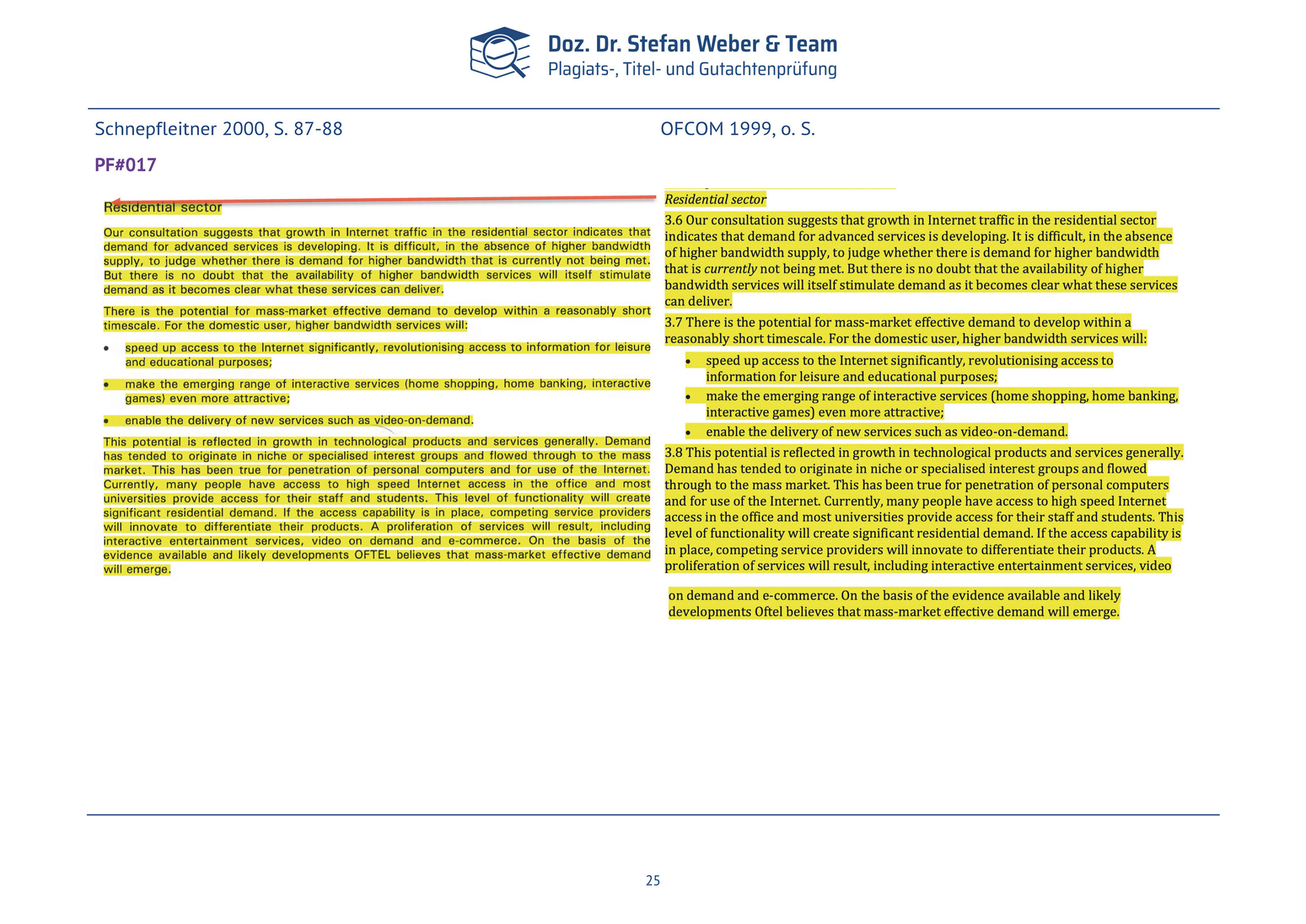 Plagiatsgutachten Schnepfleitner Seite 25