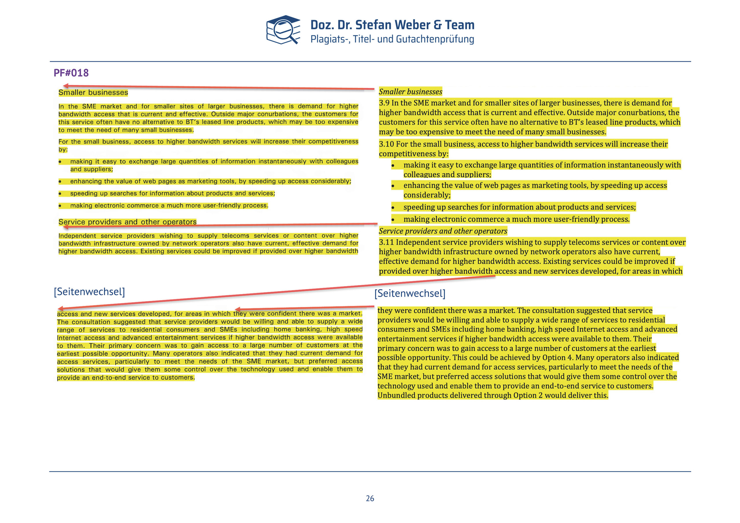 Plagiatsgutachten Schnepfleitner Seite 26