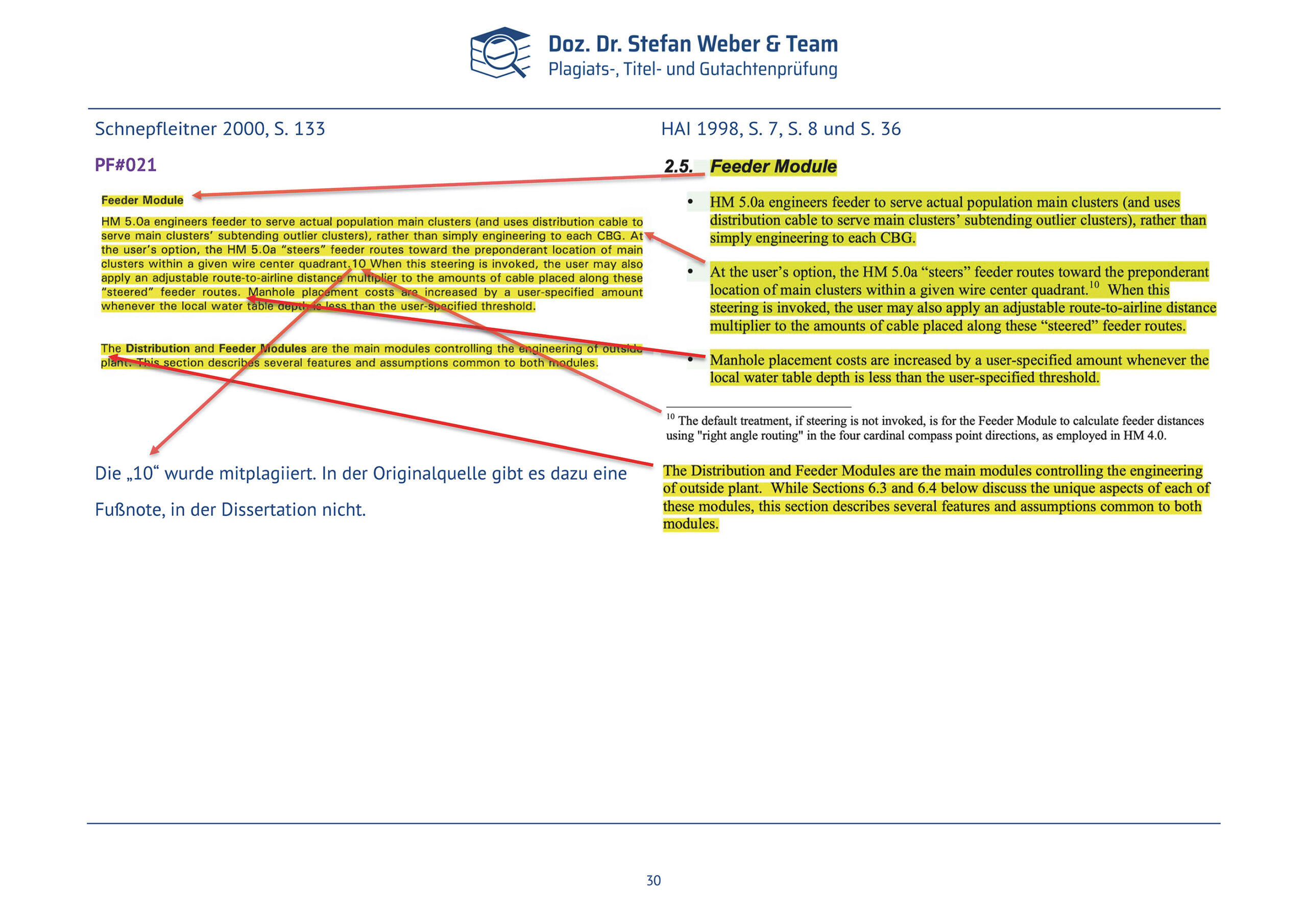 Plagiatsgutachten Schnepfleitner Seite 30