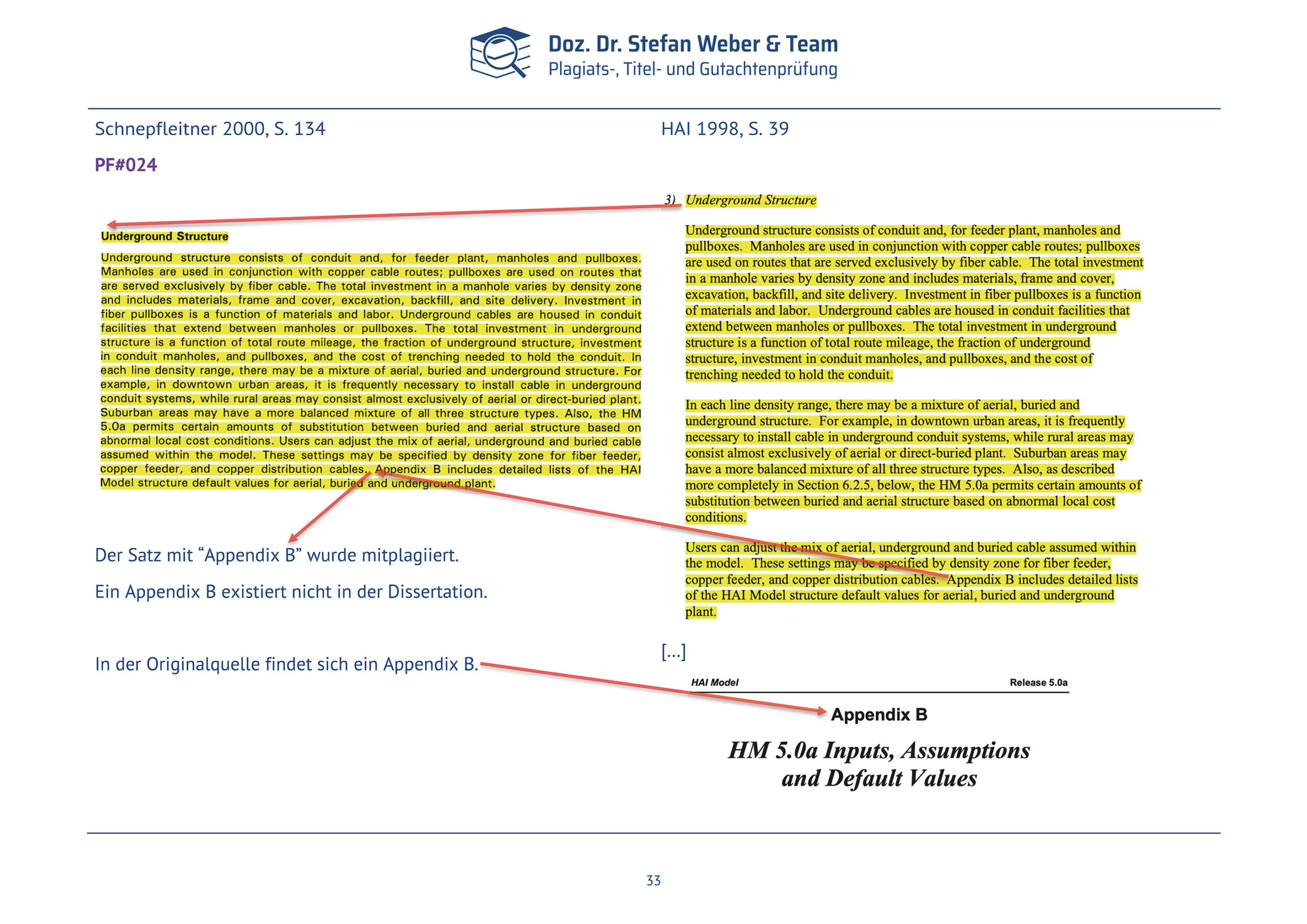 Plagiatsgutachten Schnepfleitner Seite 33
