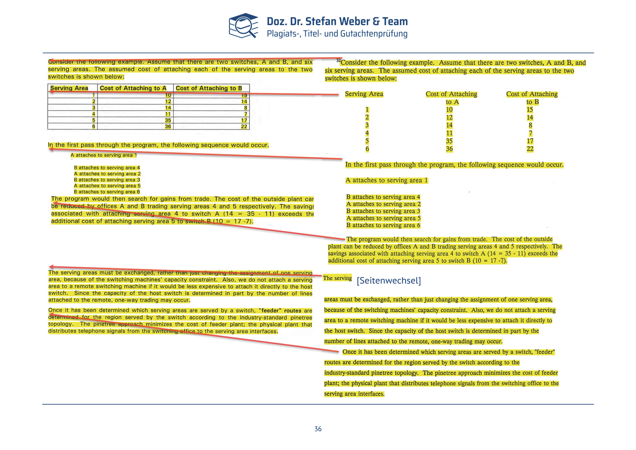 Plagiatsgutachten Schnepfleitner Seite 36
