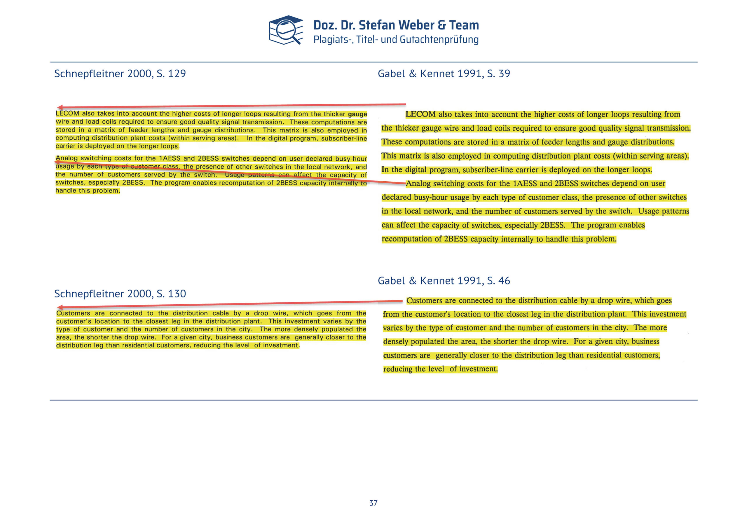 Plagiatsgutachten Schnepfleitner Seite 37