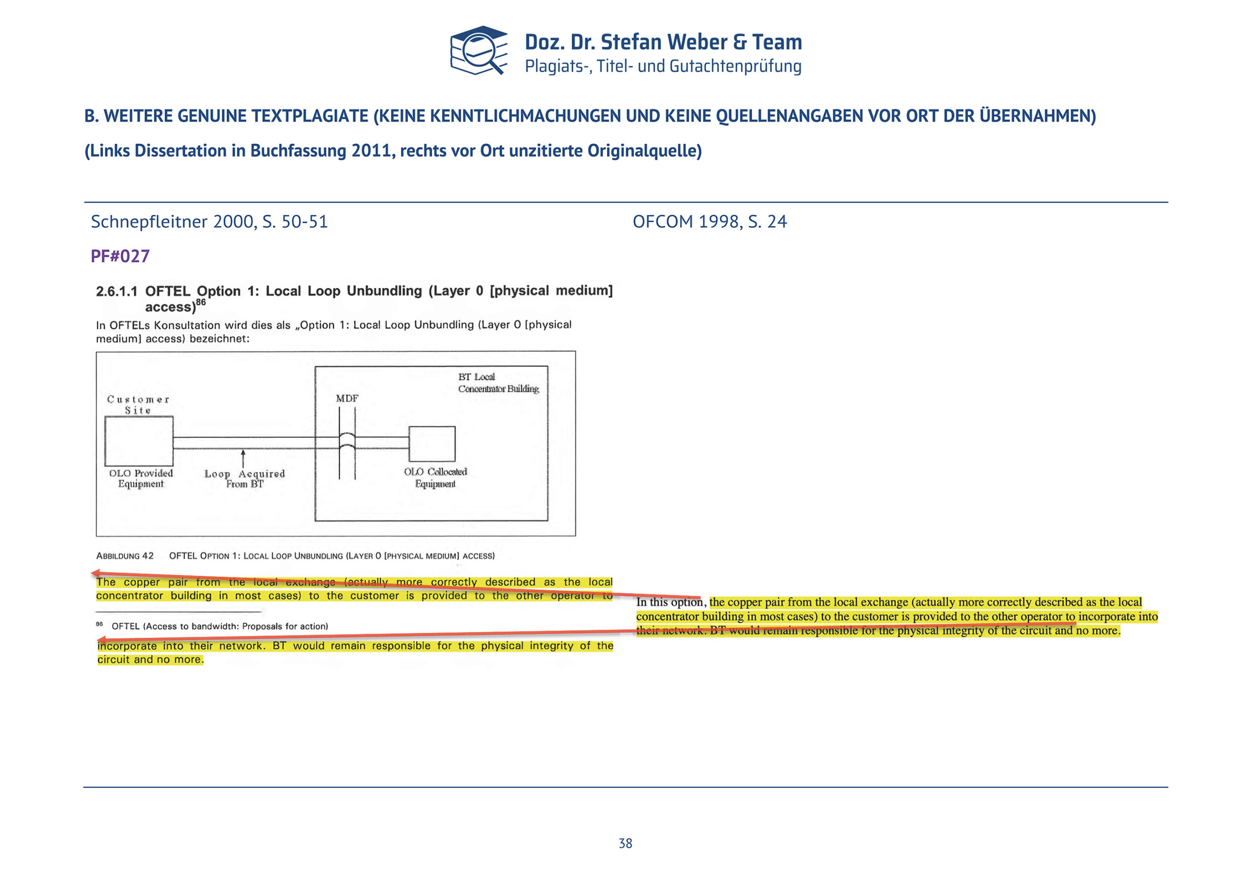 Plagiatsgutachten Schnepfleitner Seite 38