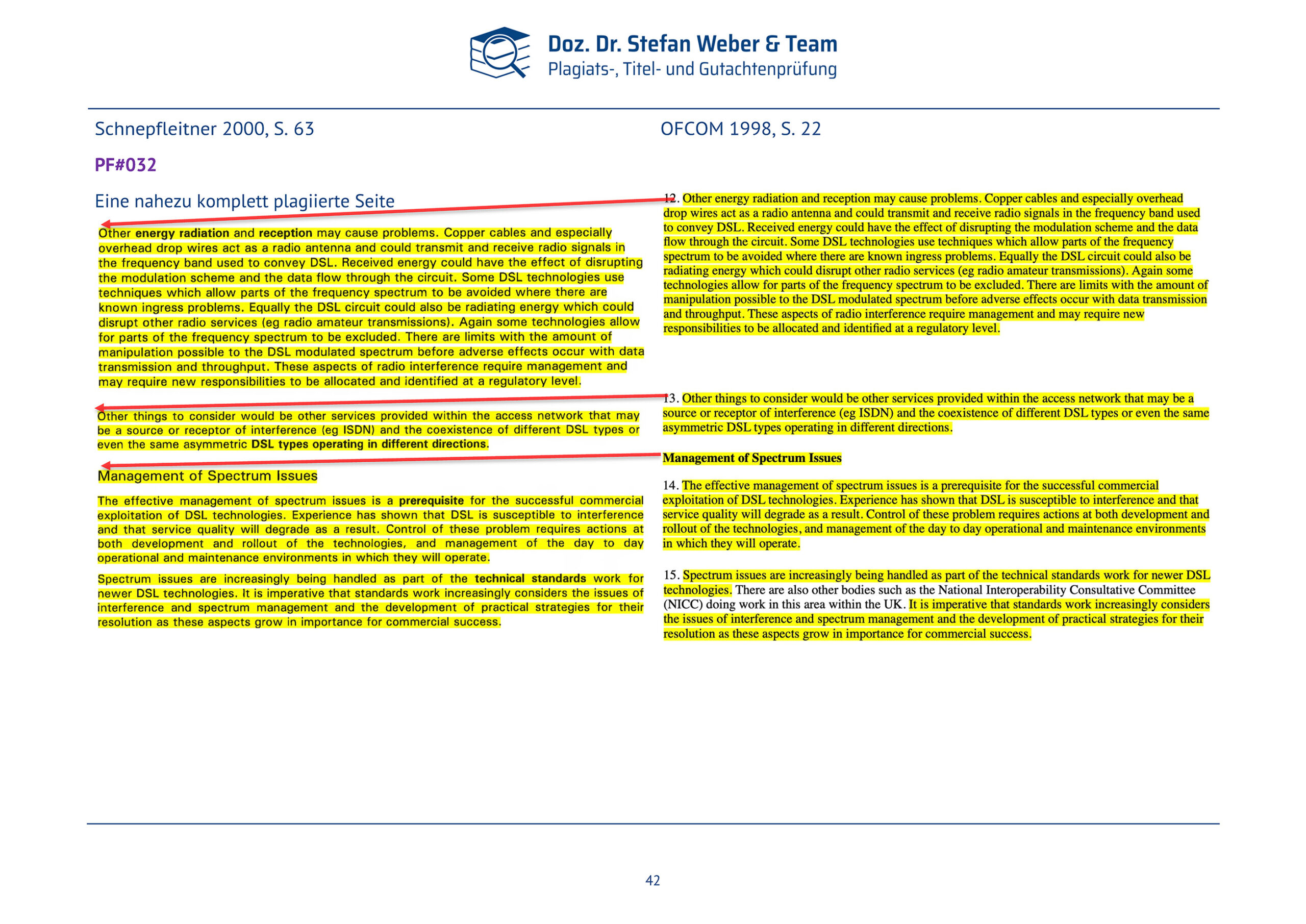 Plagiatsgutachten Schnepfleitner Seite 42
