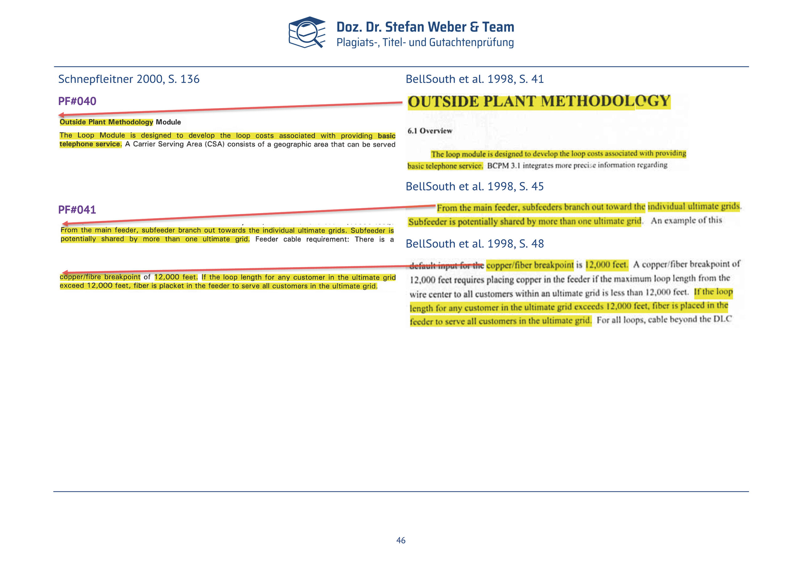Plagiatsgutachten Schnepfleitner Seite 46