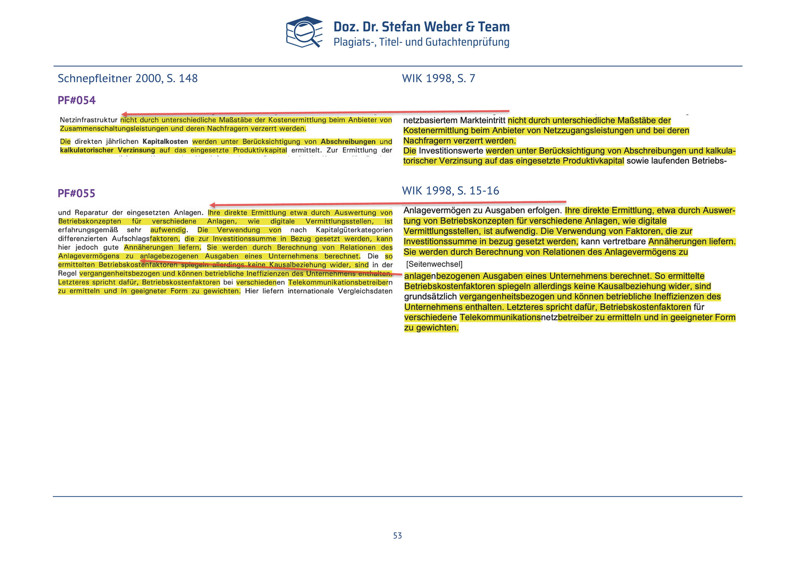 Plagiatsgutachten Schnepfleitner Seite 53