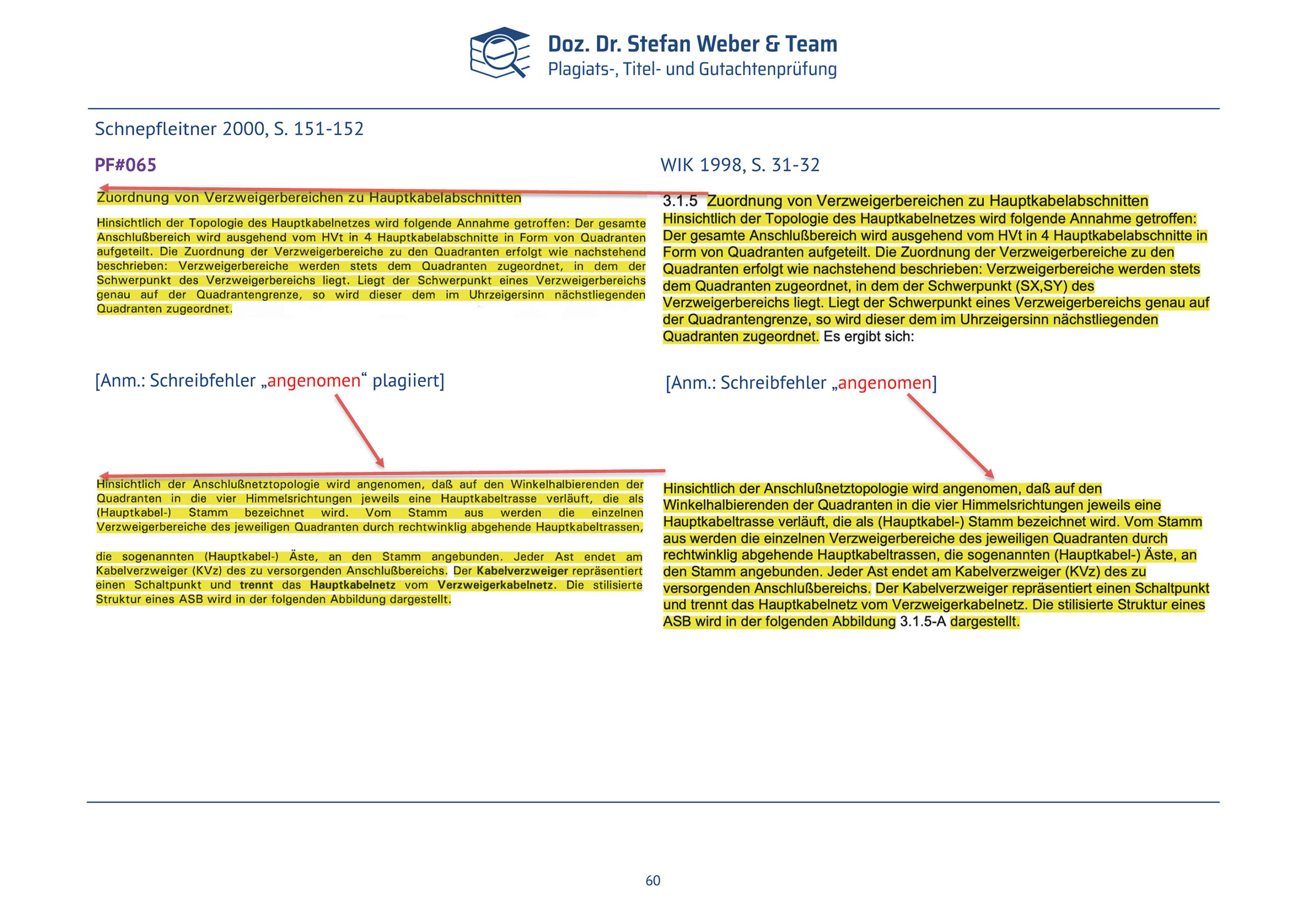 Plagiatsgutachten Schnepfleitner Seite 60