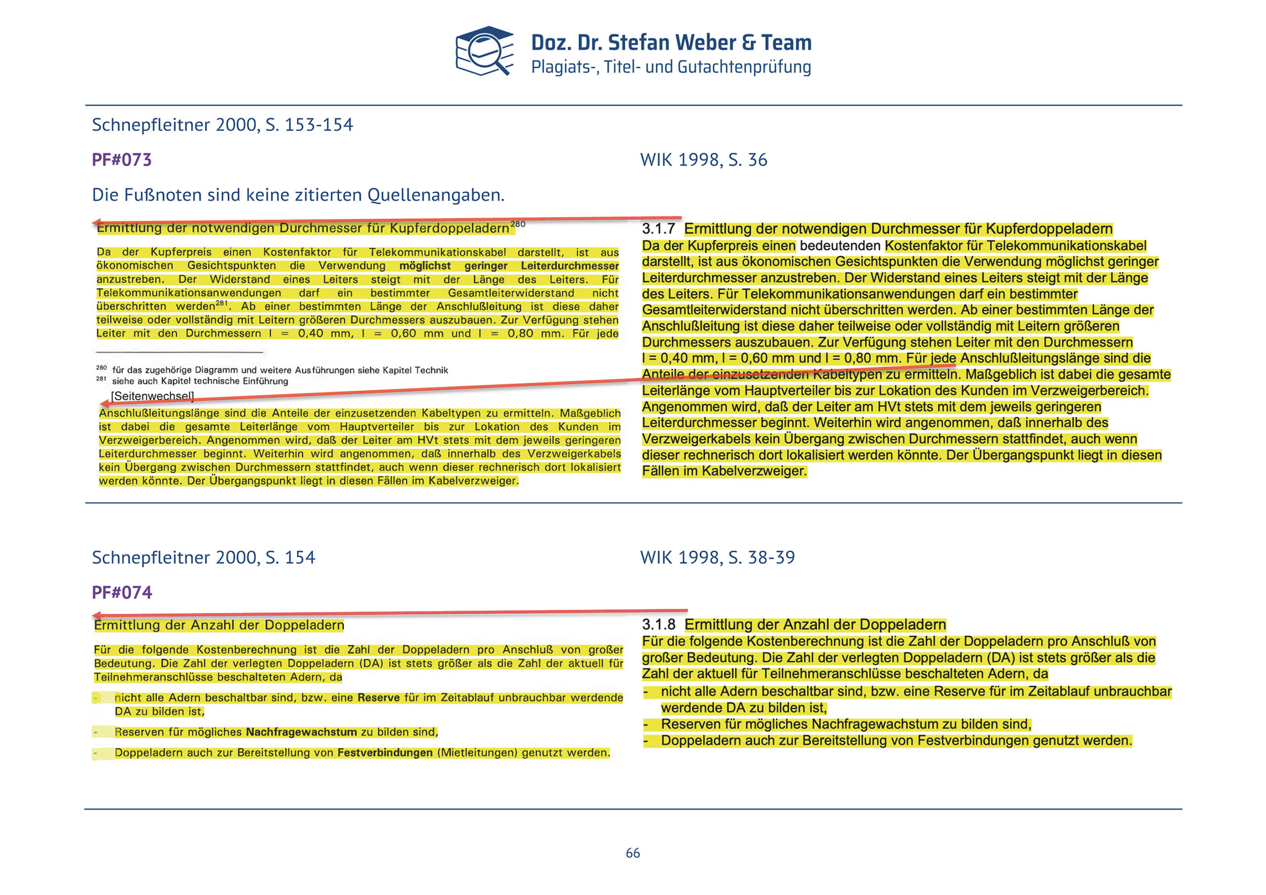 Plagiatsgutachten Schnepfleitner Seite 66