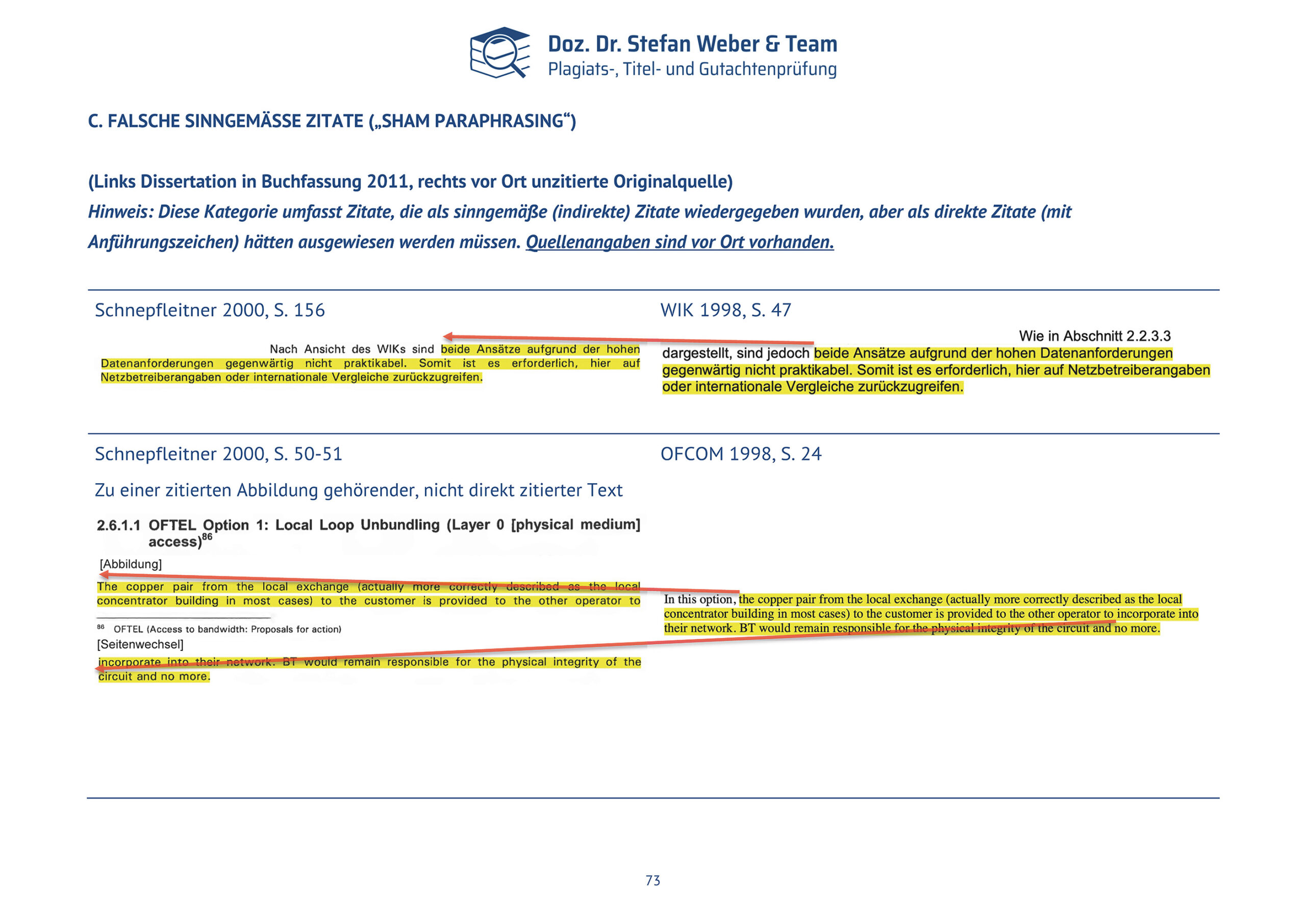 Plagiatsgutachten Schnepfleitner Seite 73