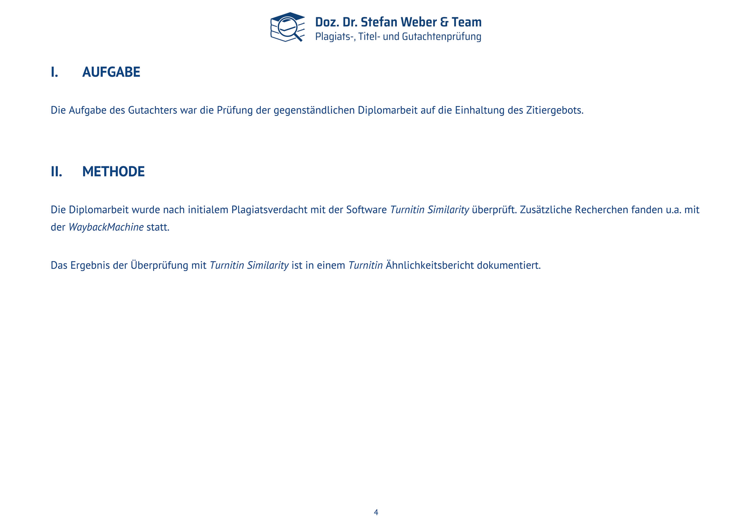 Plagiatsgutachten Schnepfleitner Dipl final Seite 04