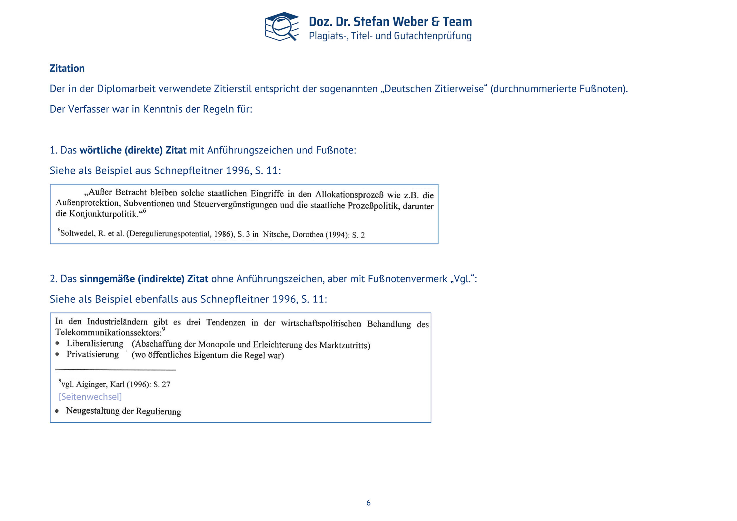Plagiatsgutachten Schnepfleitner Dipl final Seite 06