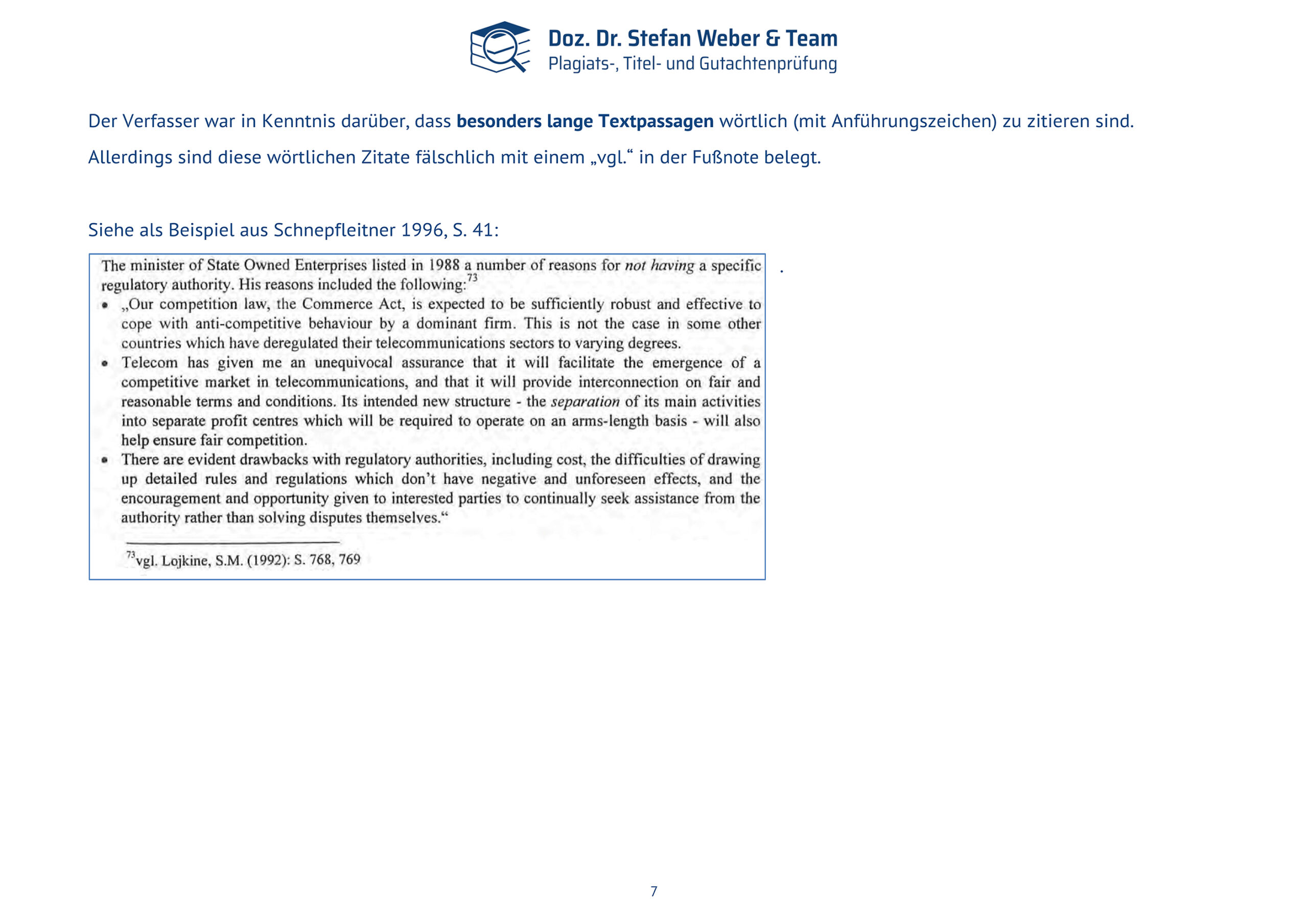 Plagiatsgutachten Schnepfleitner Dipl final Seite 07
