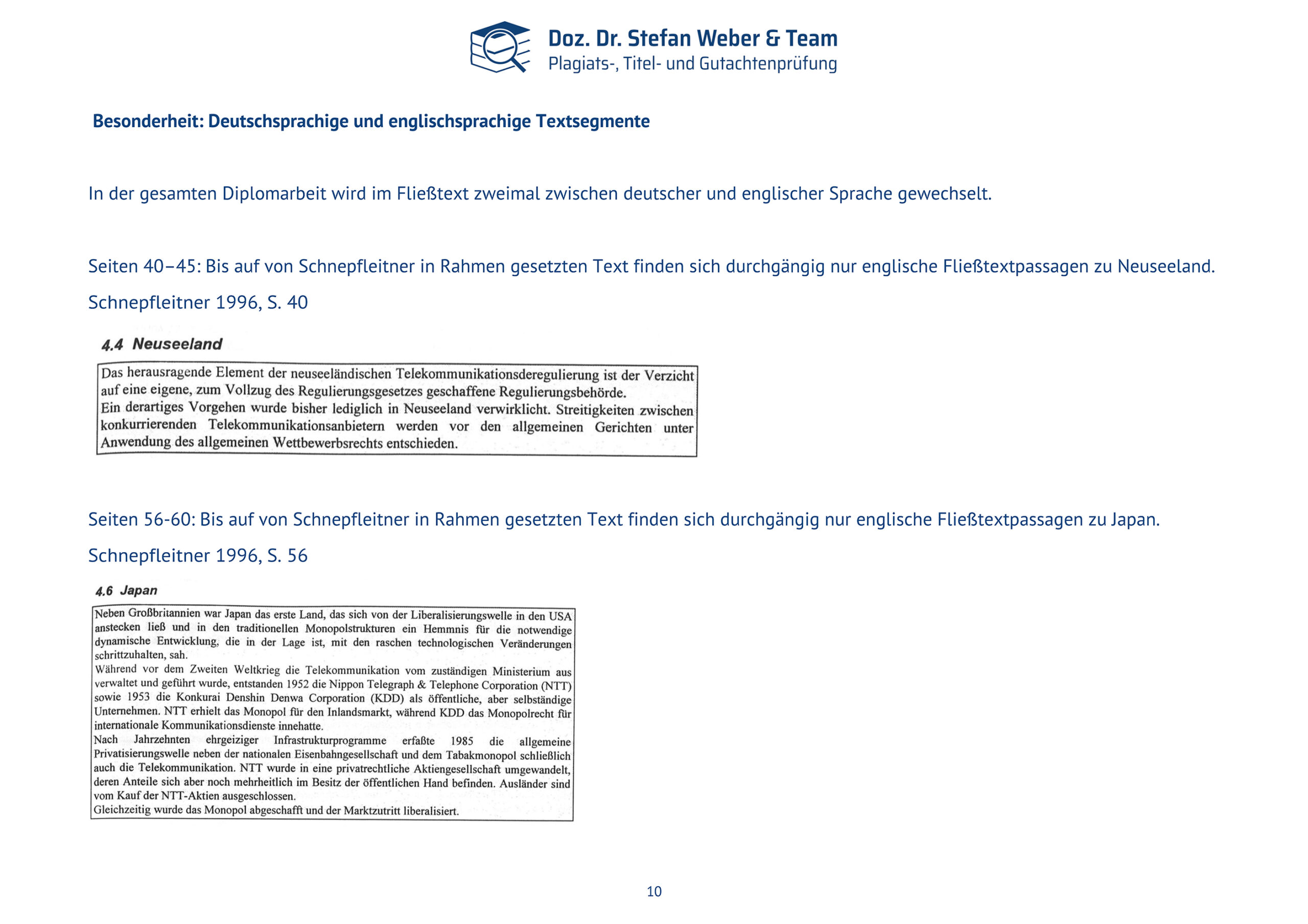 Plagiatsgutachten Schnepfleitner Dipl final Seite 10