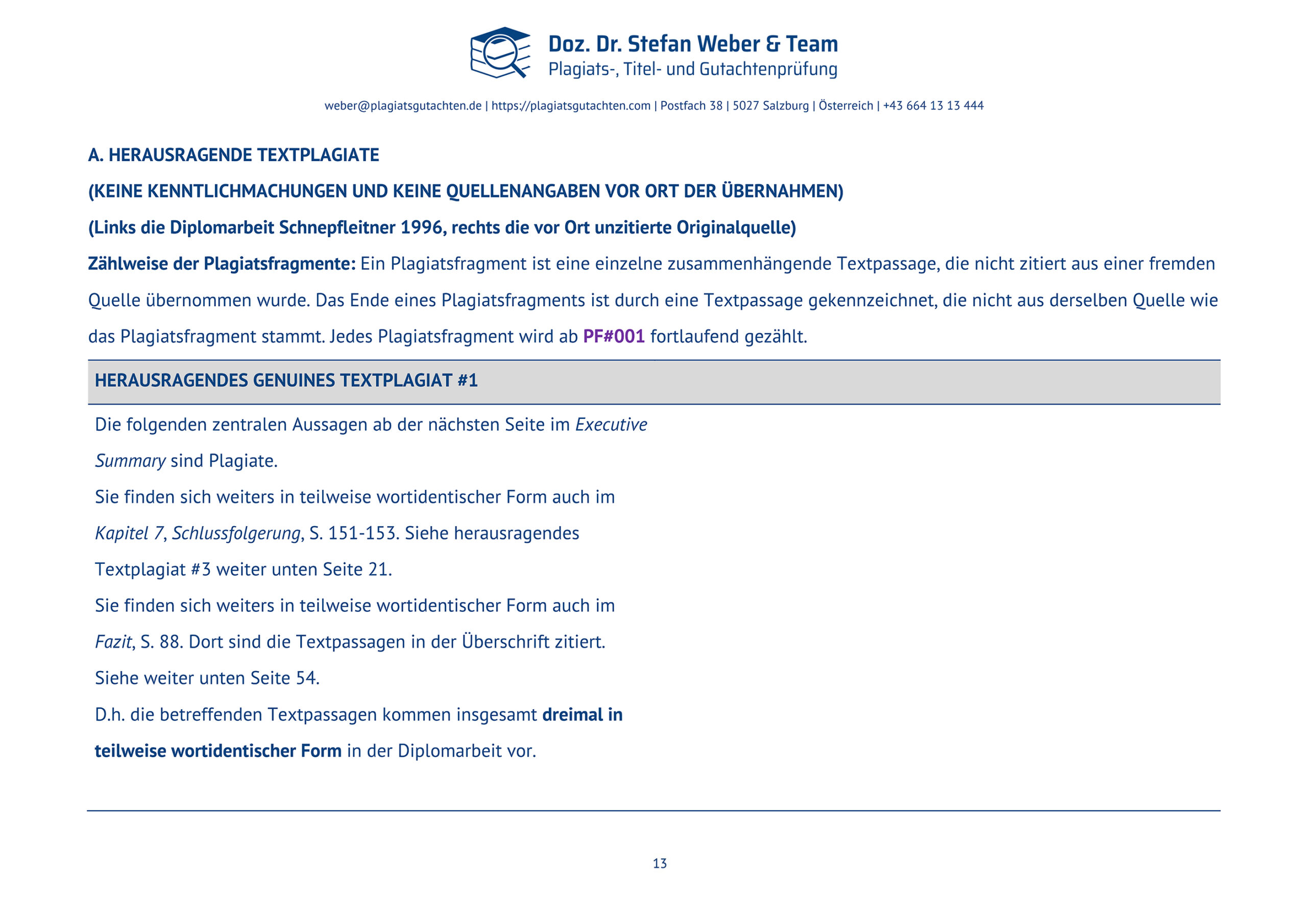 Plagiatsgutachten Schnepfleitner Dipl final Seite 13