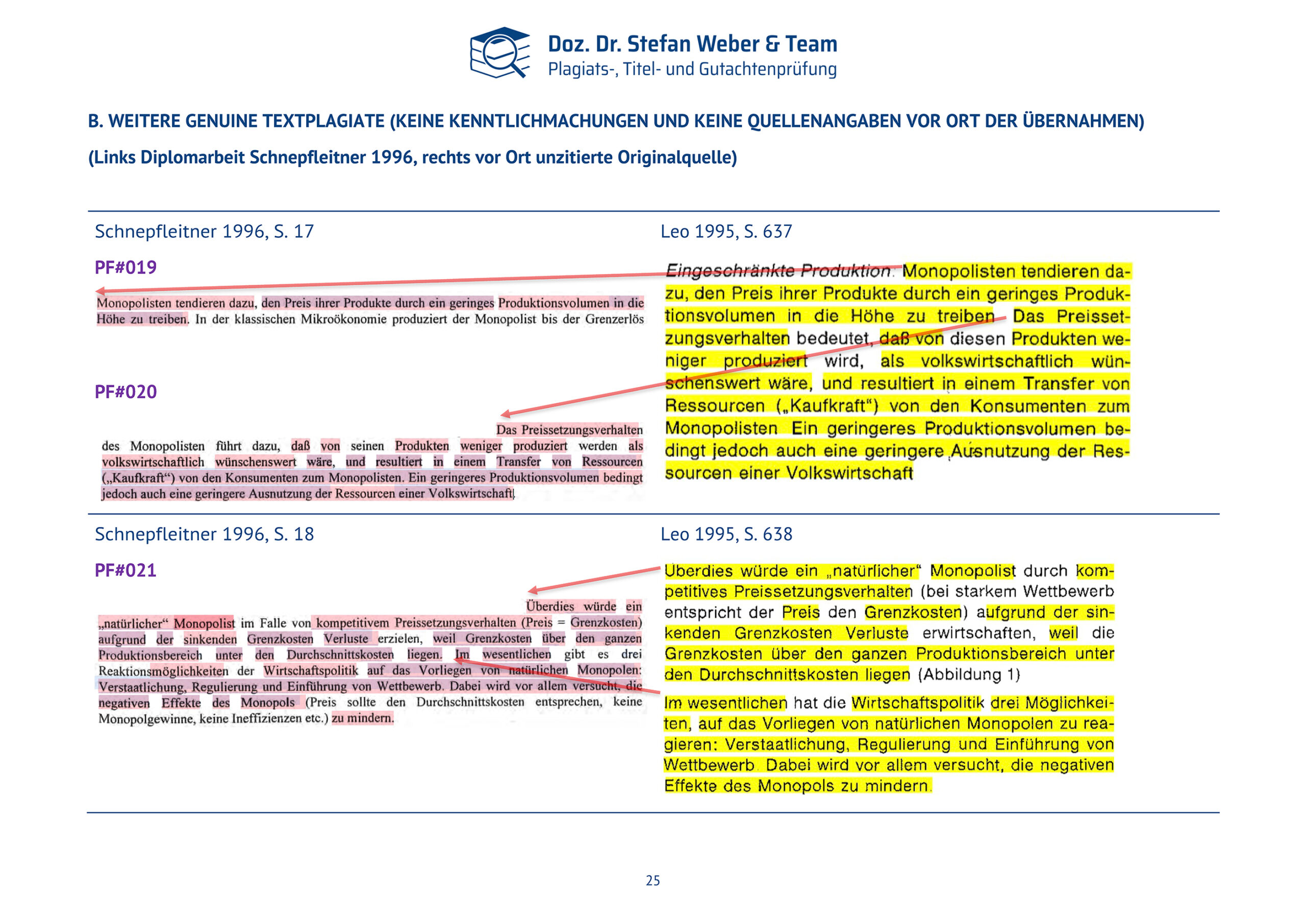 Plagiatsgutachten Schnepfleitner Dipl final Seite 25