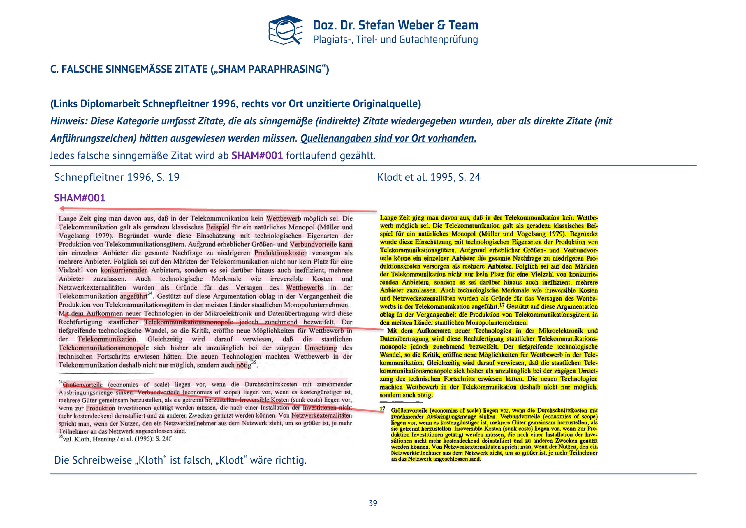 Plagiatsgutachten Schnepfleitner Dipl final Seite 39