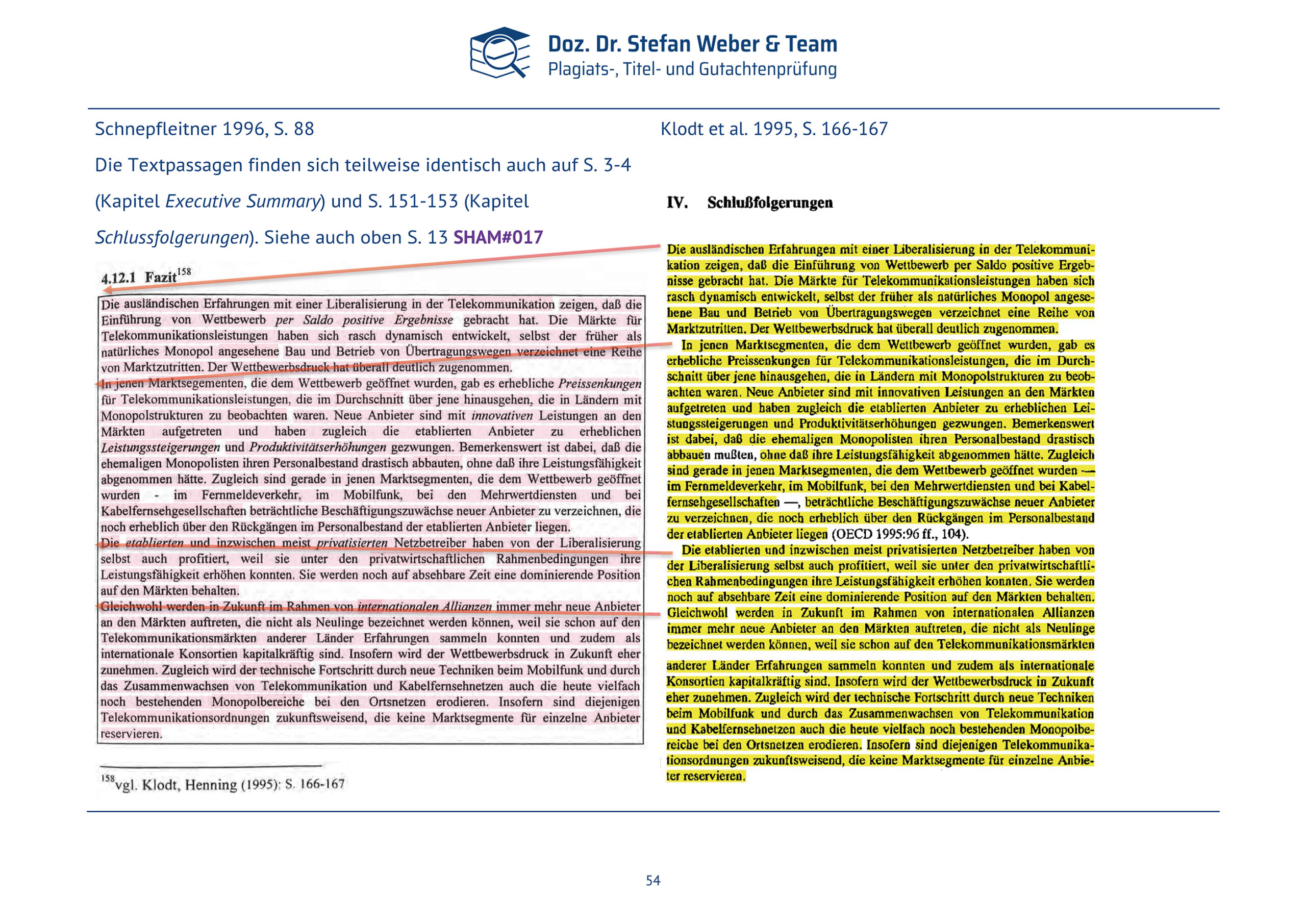Plagiatsgutachten Schnepfleitner Dipl final Seite 54