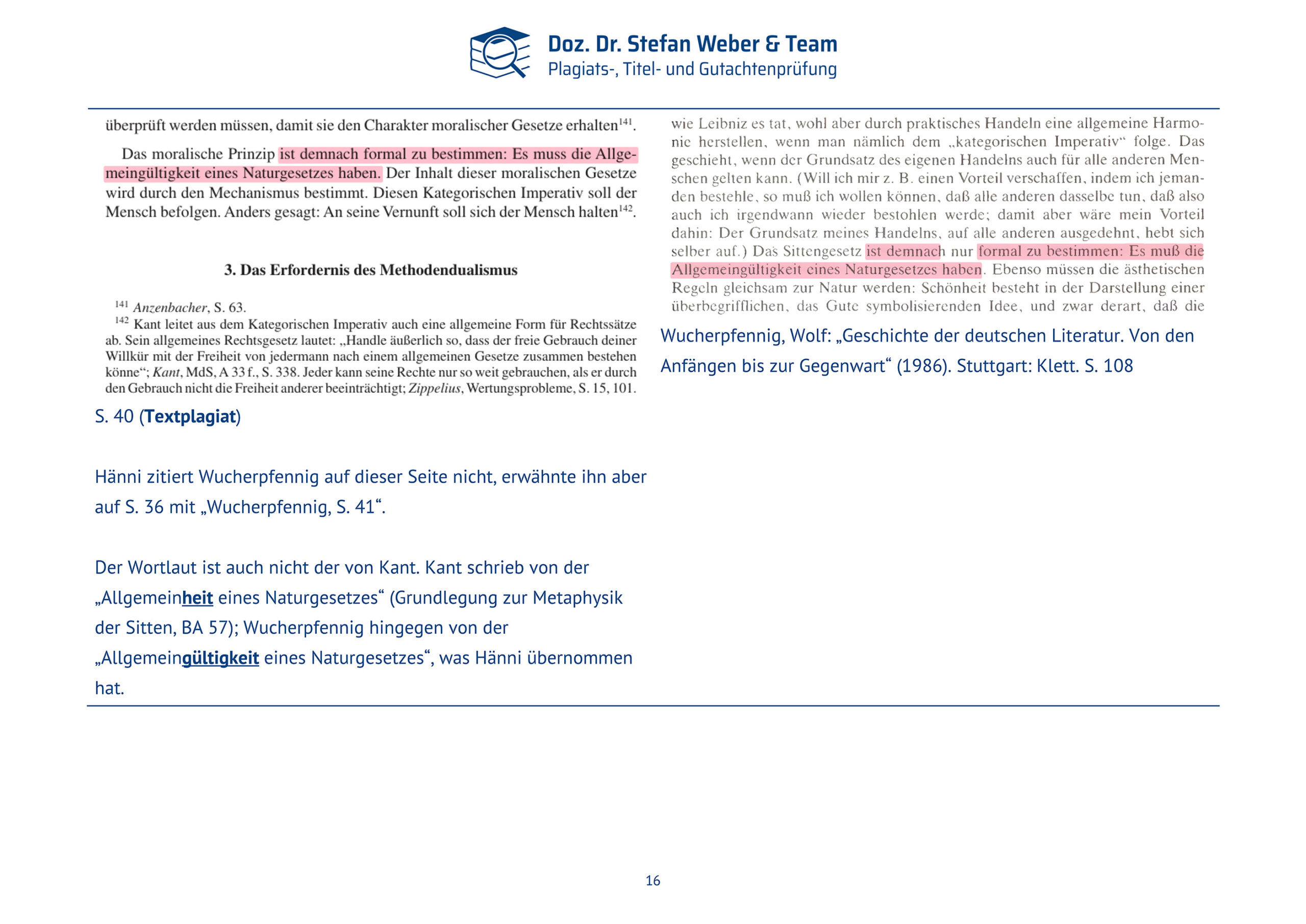 Plagiatsgutachten Haenni_Dissertation Seite 16
