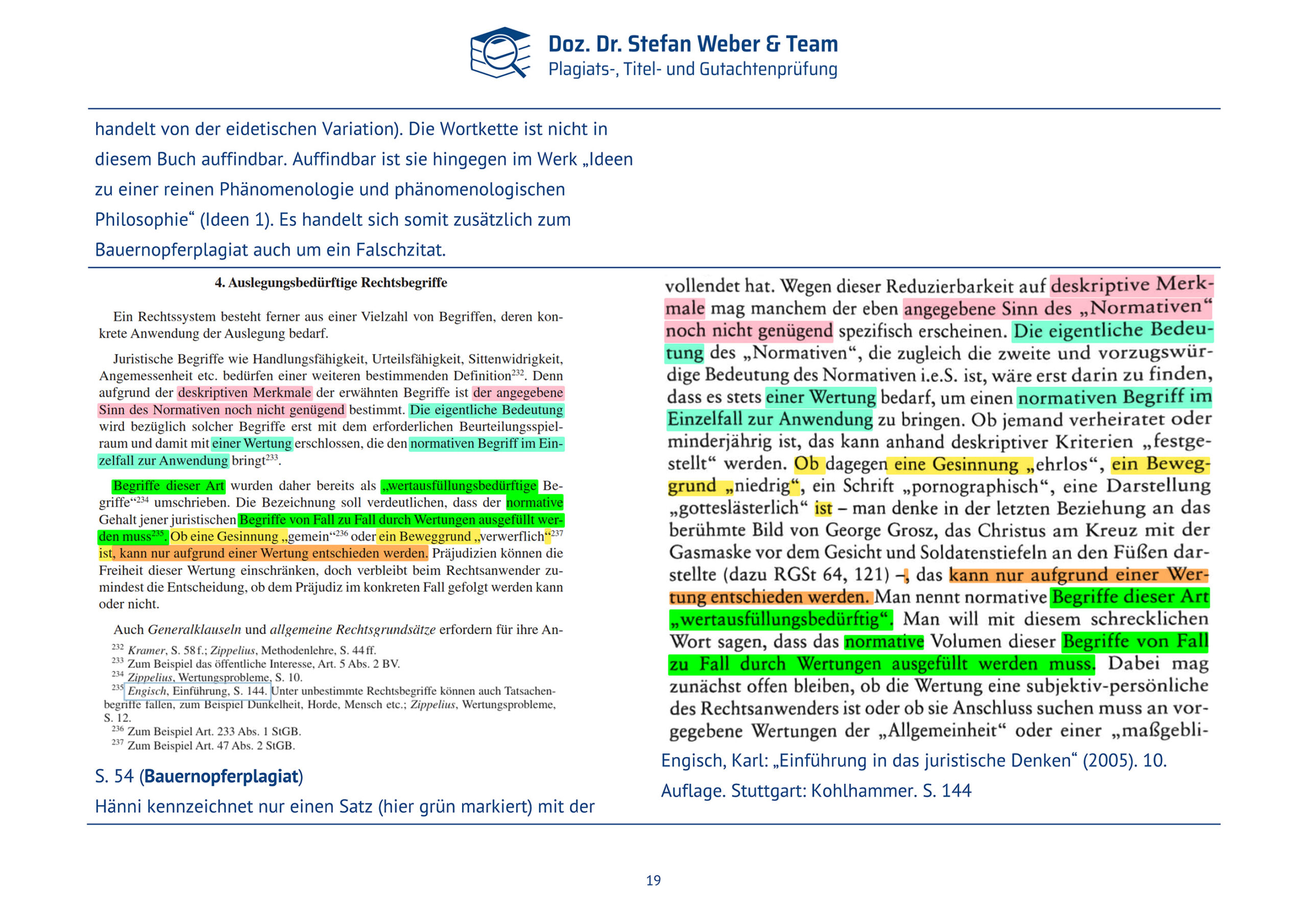 Plagiatsgutachten Haenni_Dissertation Seite 19