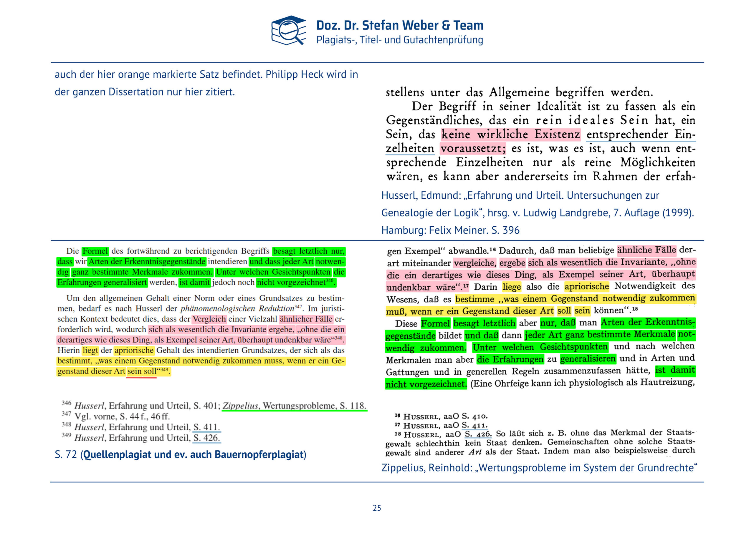 Plagiatsgutachten Haenni_Dissertation Seite 25