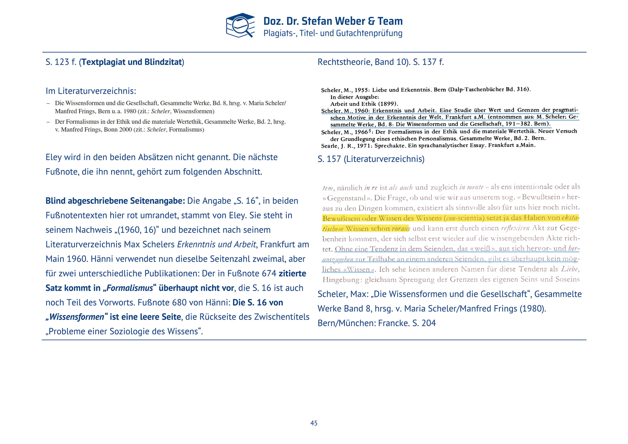 Plagiatsgutachten Haenni_Dissertation Seite 45